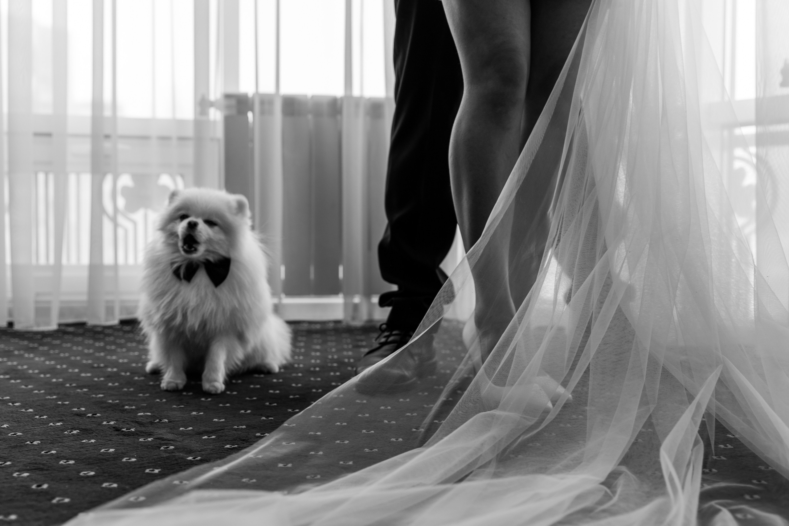 К&А. Профессиональный фотограф Юнаковская Оксана