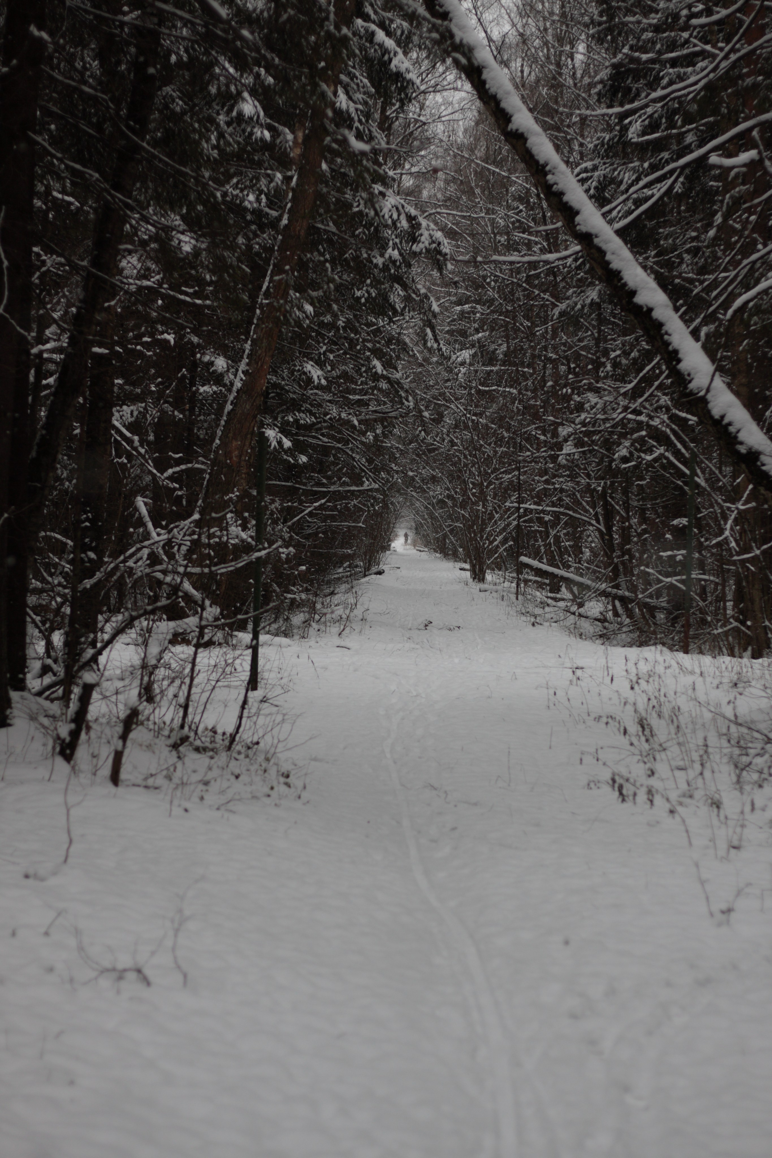 Старое природное, отбирала Katamount (Катерина Горохова). Главная
