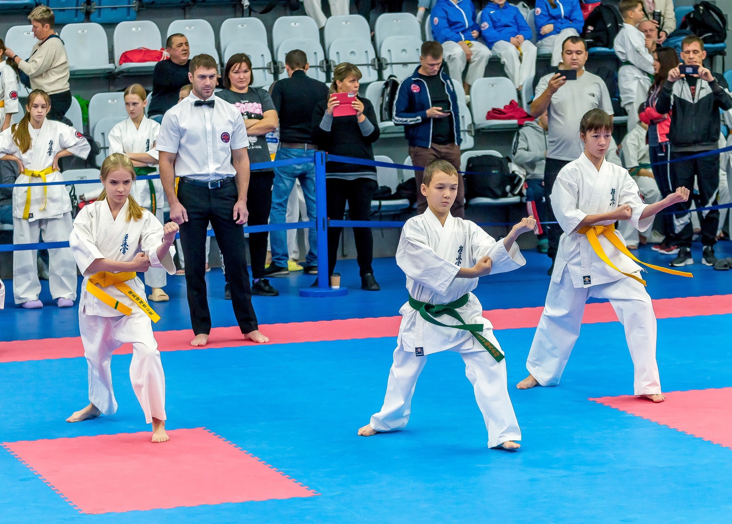 Соревнования по Киокушин памяти С. Увицкого. Репортажная съемка в Москве и области. Анималистика