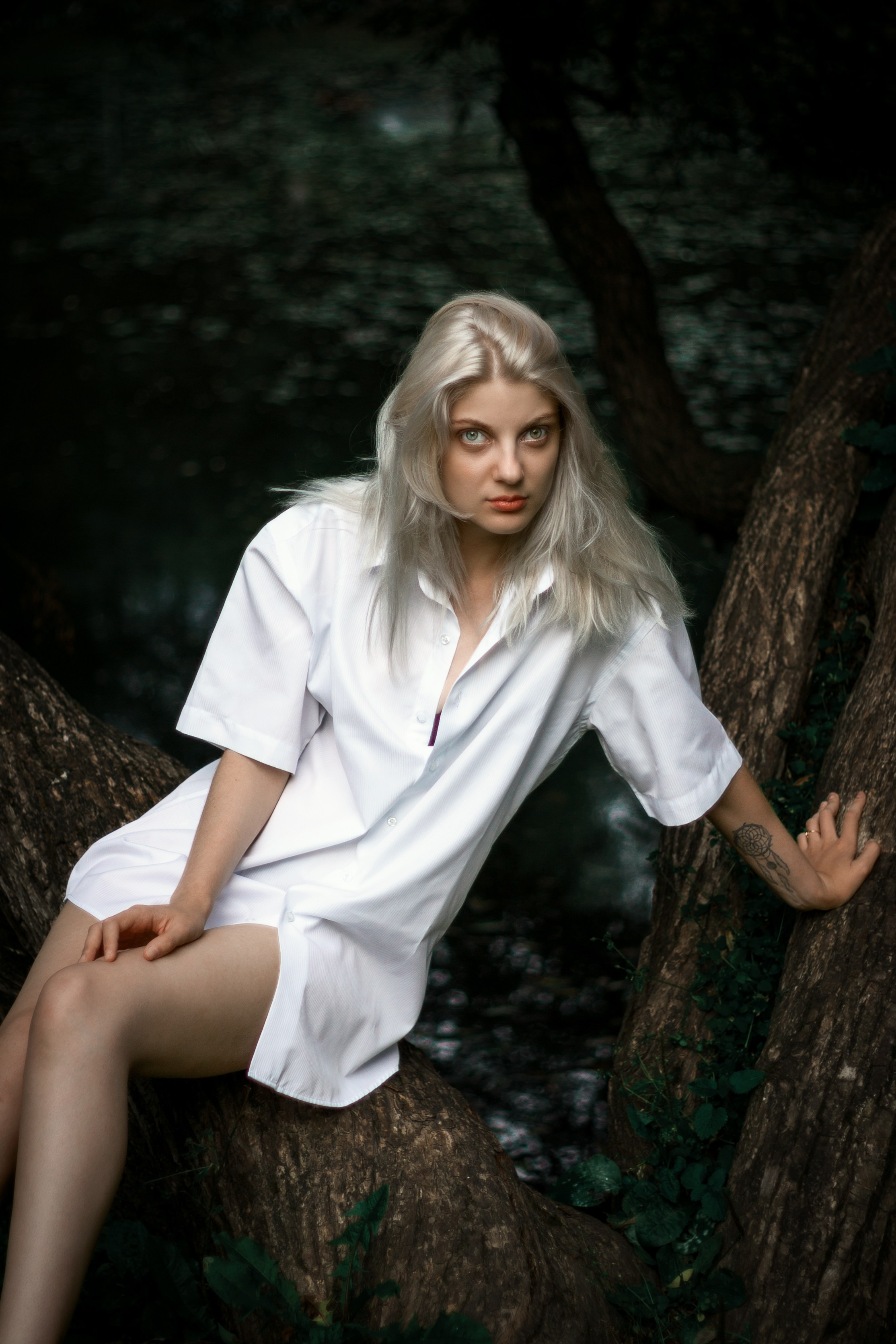 Откройте для себя магию "Белоснежной гармонии" в этом фотоальбоме, где девушка с белоснежными волосами предстаёт в утончённых образах на природе. Наслаждайтесь кадрами, где она лежит на дереве у озера и на траве, с элегантной рубашкой, добавляющей загадочности и эстетики. Девушка, молодая девушка, Блондинка, Фотосеесия, Подросток, Крашенные волосы, Озеро, Рубашка, Позировка, Потрет, Полуголая, Полуголая девушка, Девушка в белье, Дерево, Озеро, Красотка, Ноги, Трава, Ню,