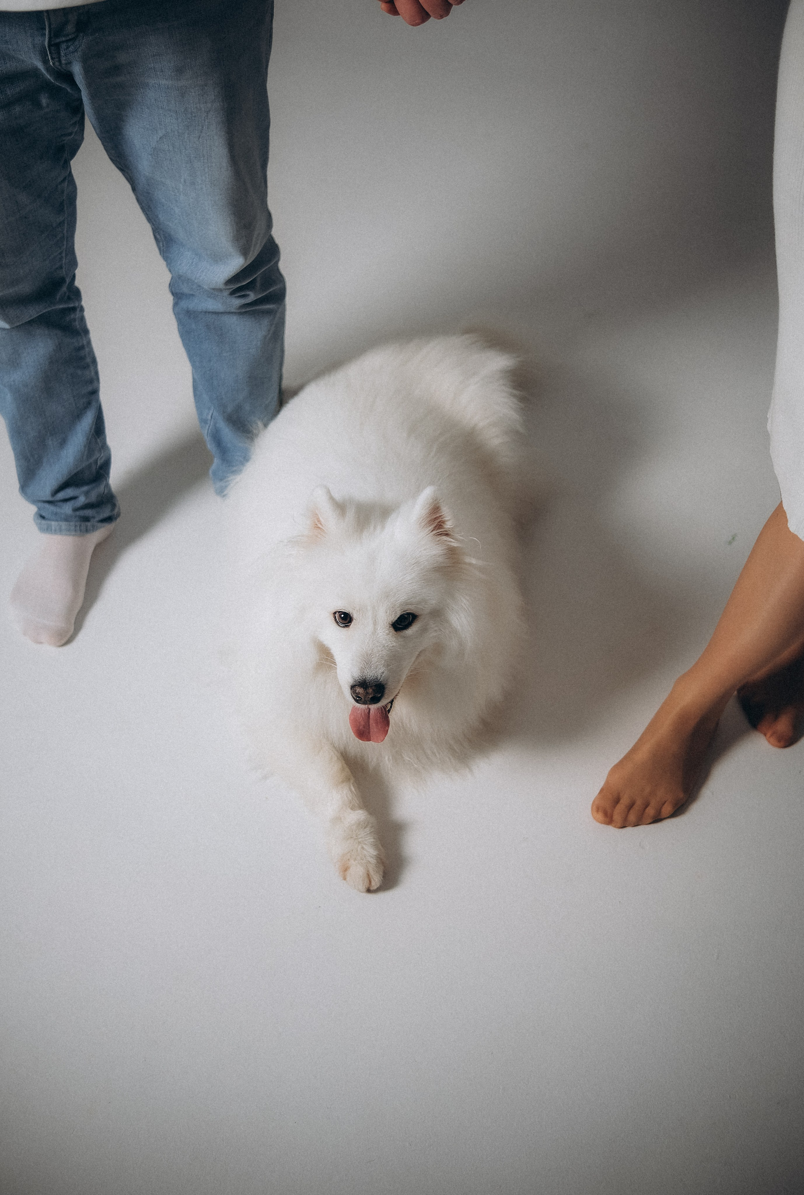 Катя & Андрей. Phdkvmr.ru