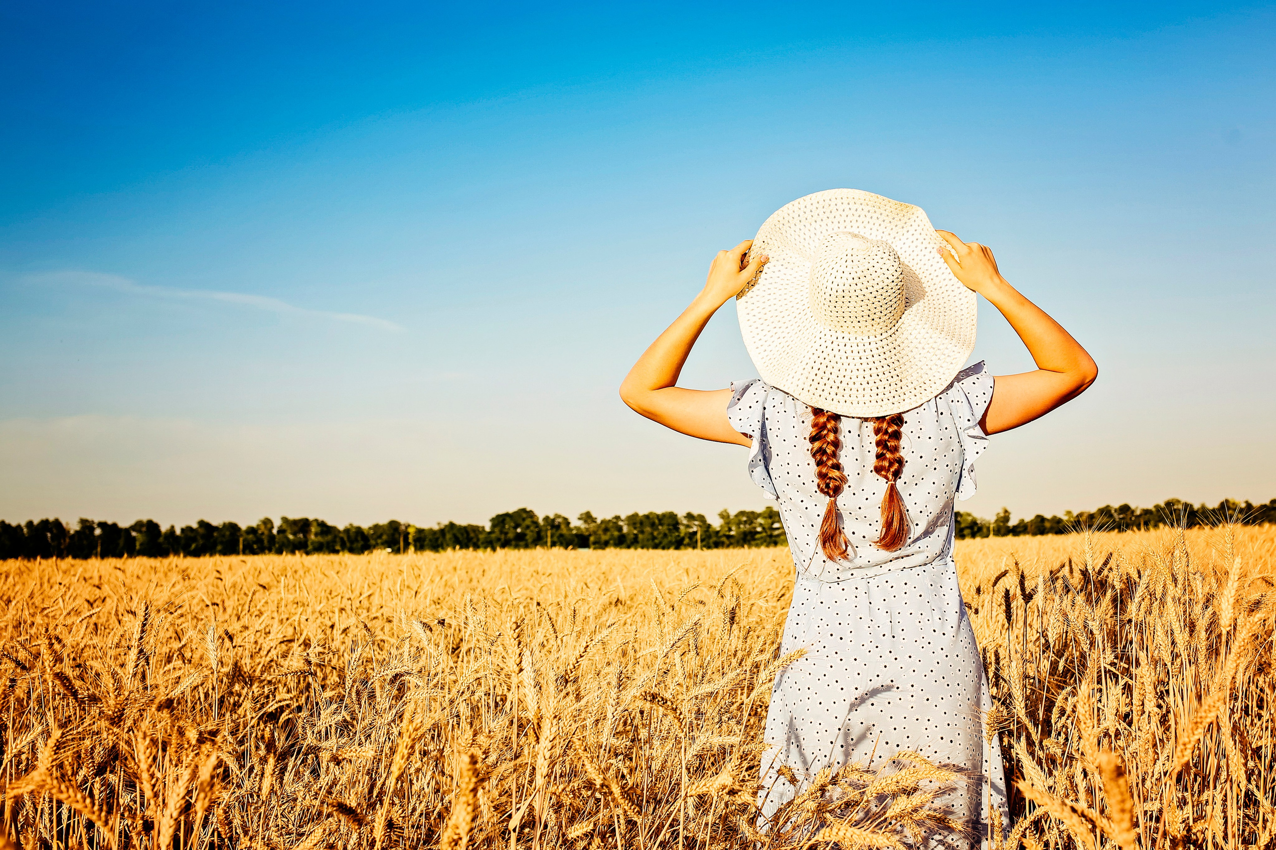 Ваш домашний Видеограф