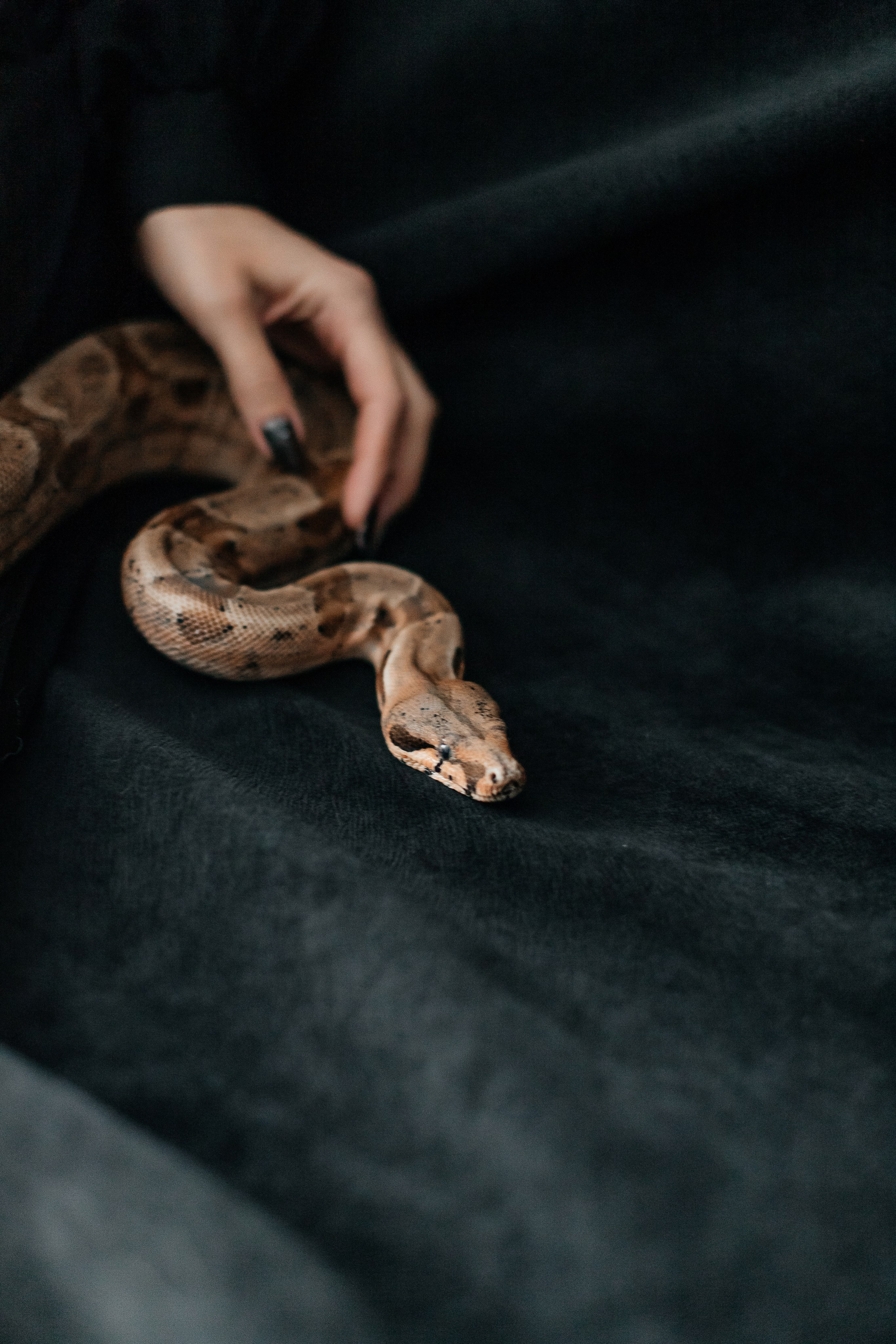 Eseniya. Фотограф в Уфе Катерина Быстрая