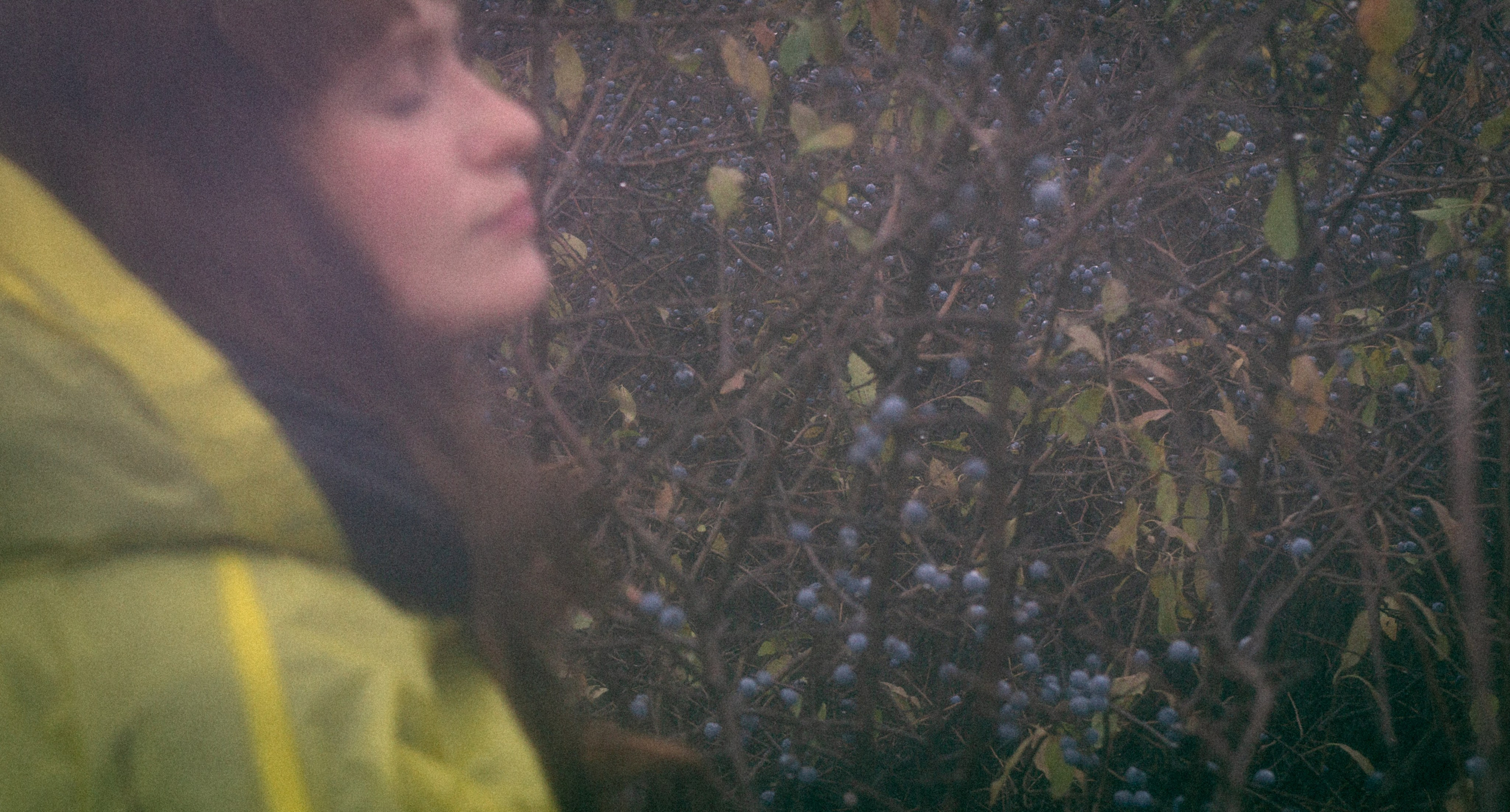 Туманная осень. • Фотограф Александра Светозар Алчевск •