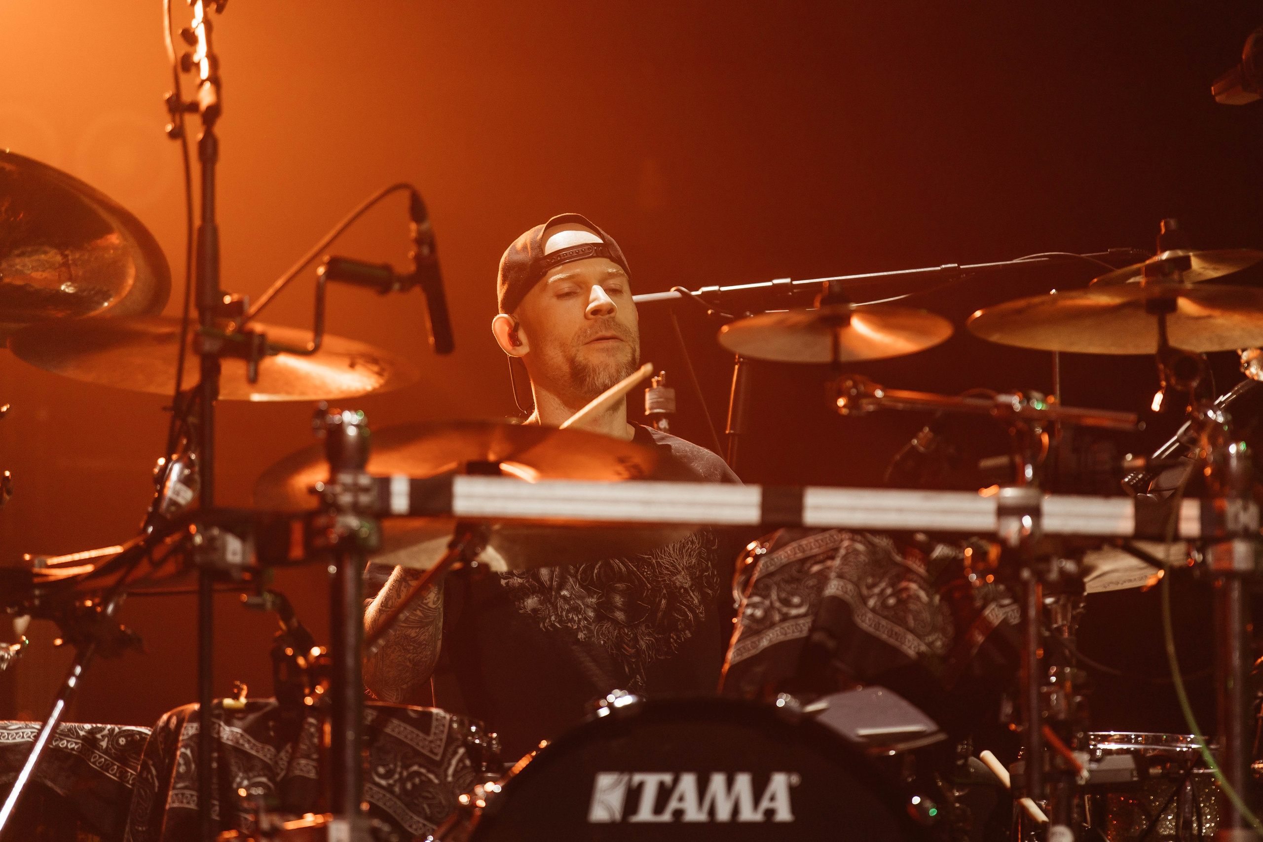 Звери. _Carpe diem_