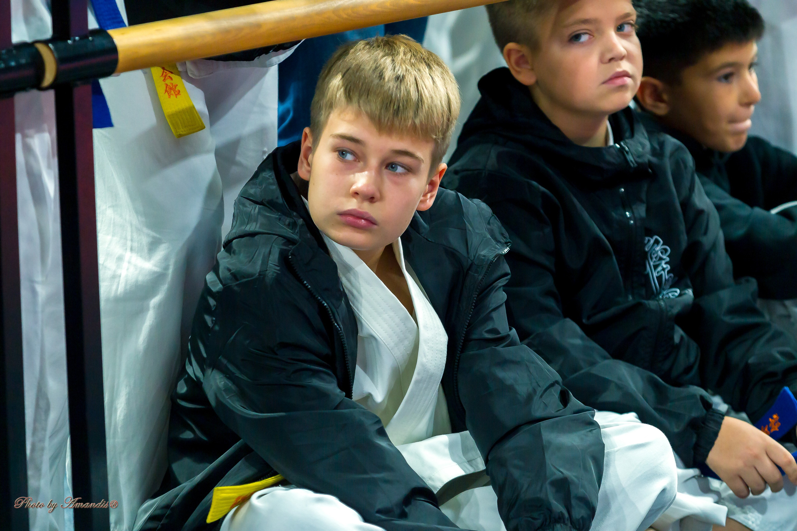 Первенство Московской области по Киокушин в СК «Жаворонки». Репортажная съемка в Москве и области. Анималистика