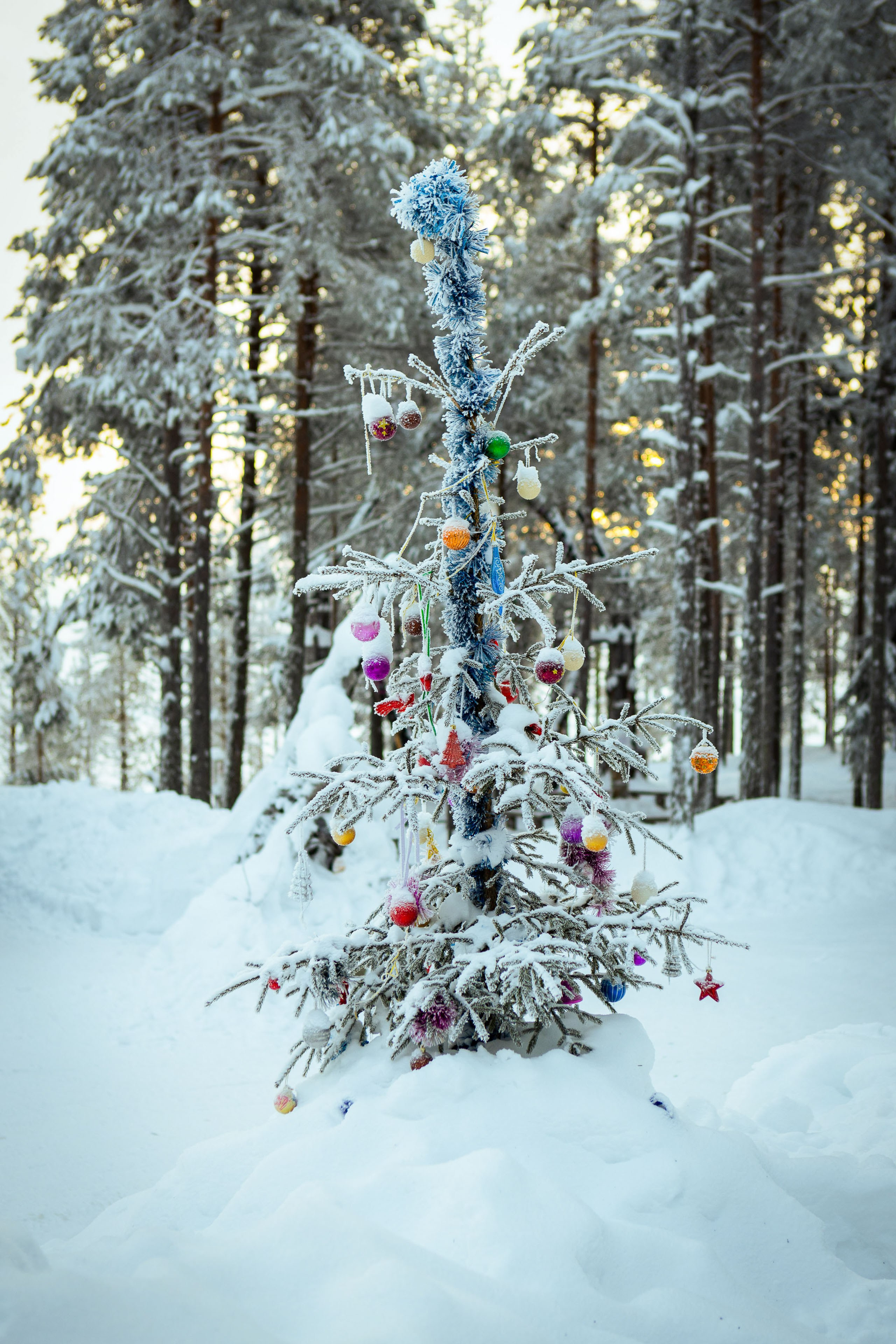 Калевала (зима 2022). Фотограф Виноградов Константин