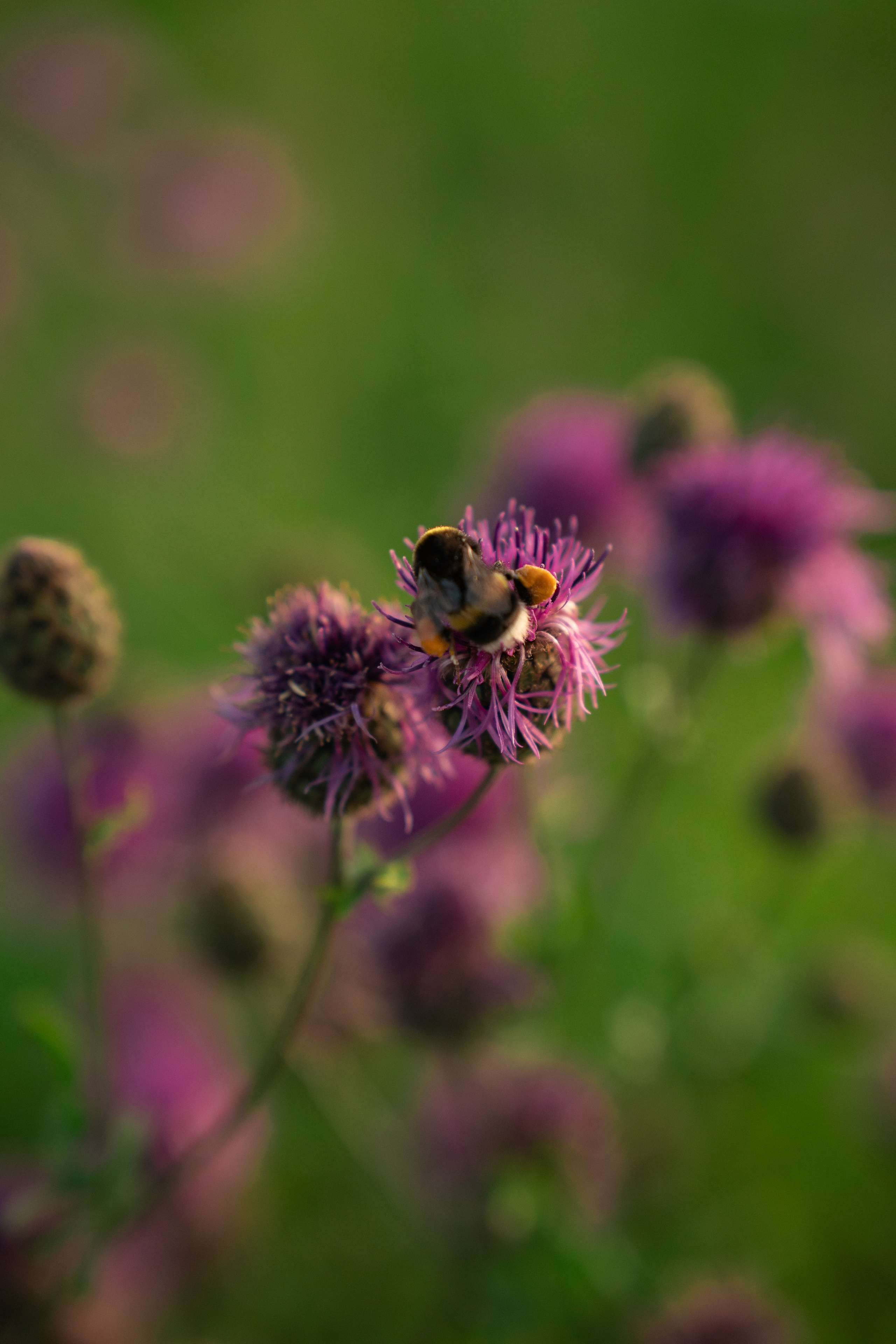 ATMOSPHERE. Фотограф Юрина Ксения Москва