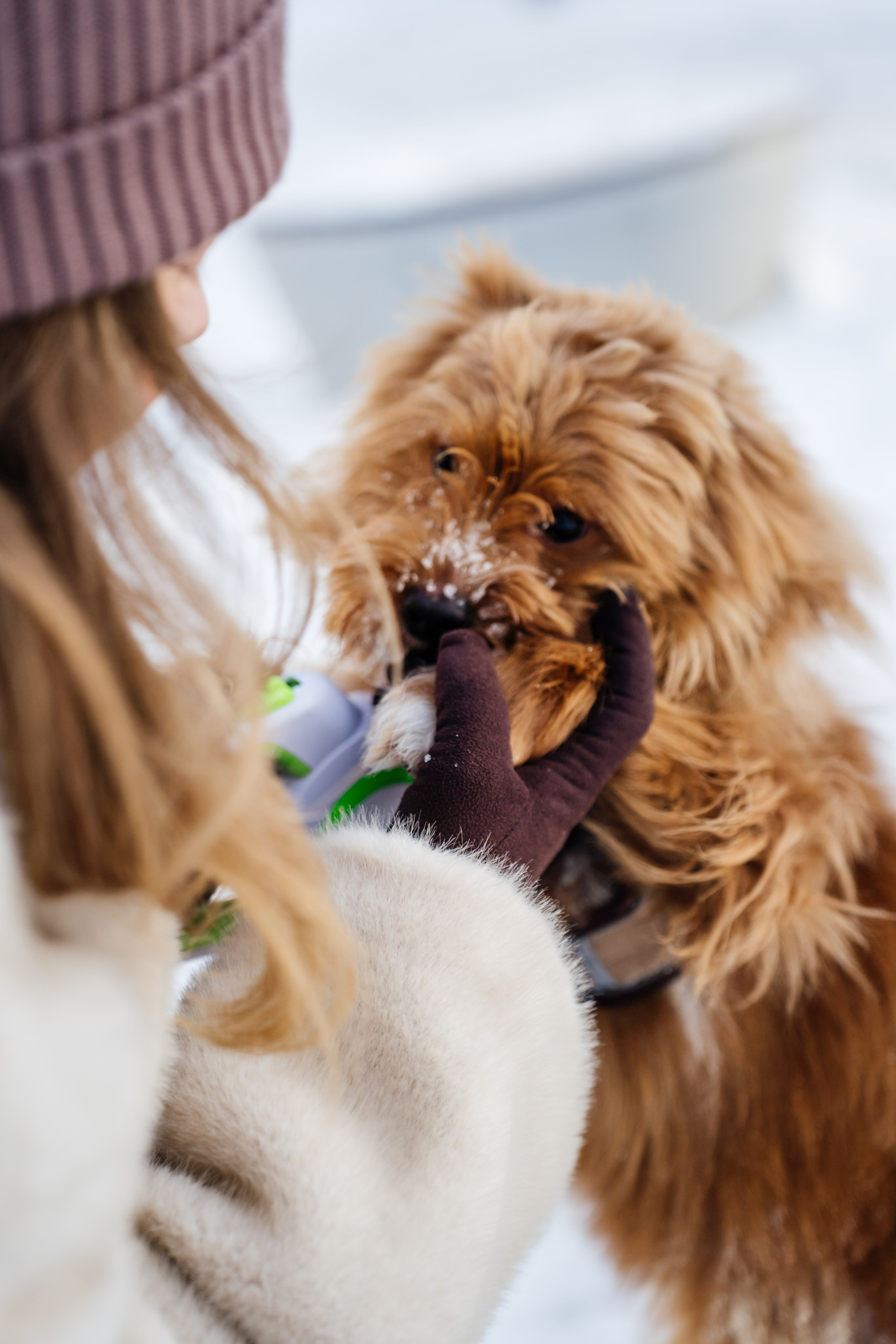 Зимняя прогулка. Видеограф и Фотограф в Челябинске Ксения и Владимир Рюмины