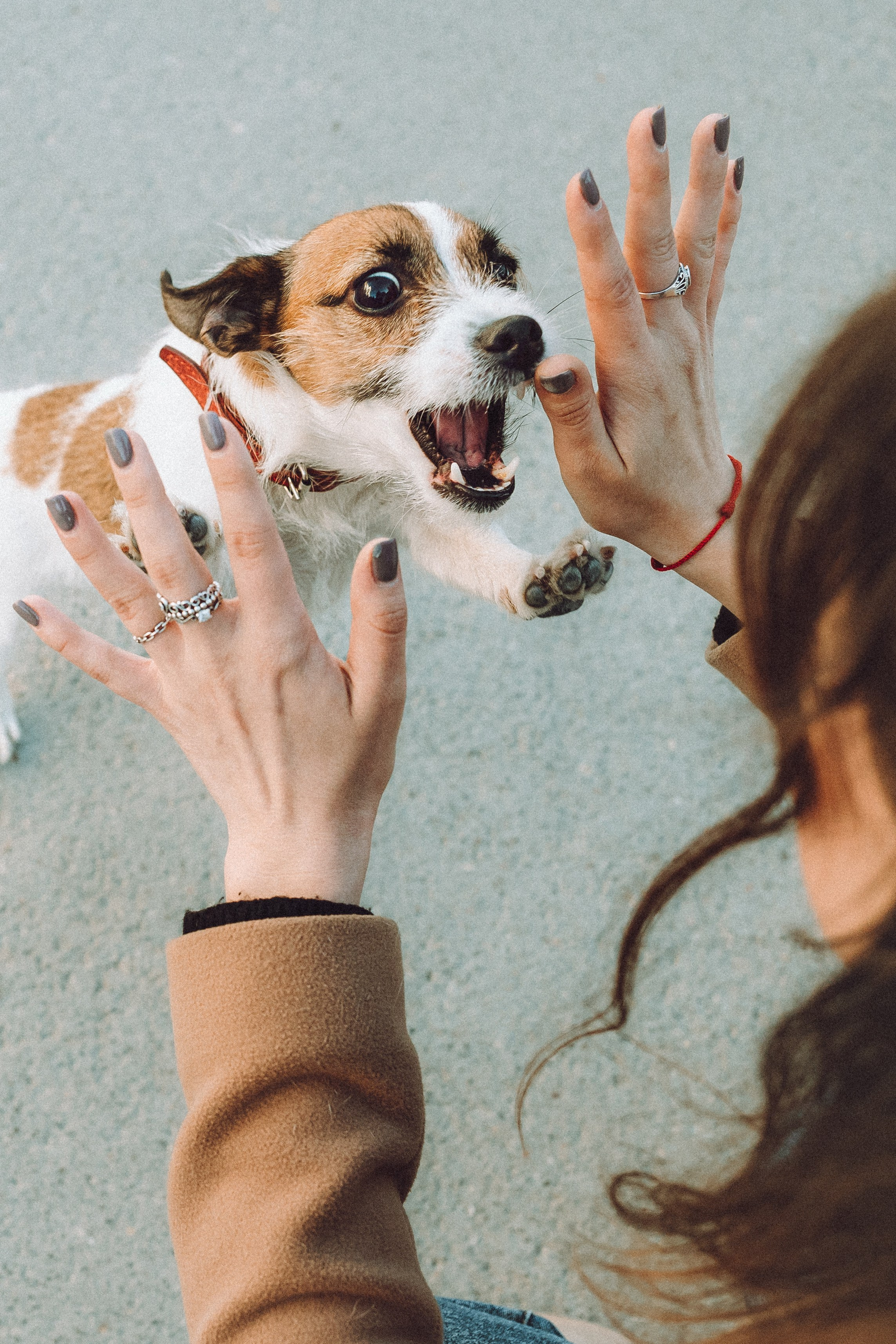 Лера и Рада