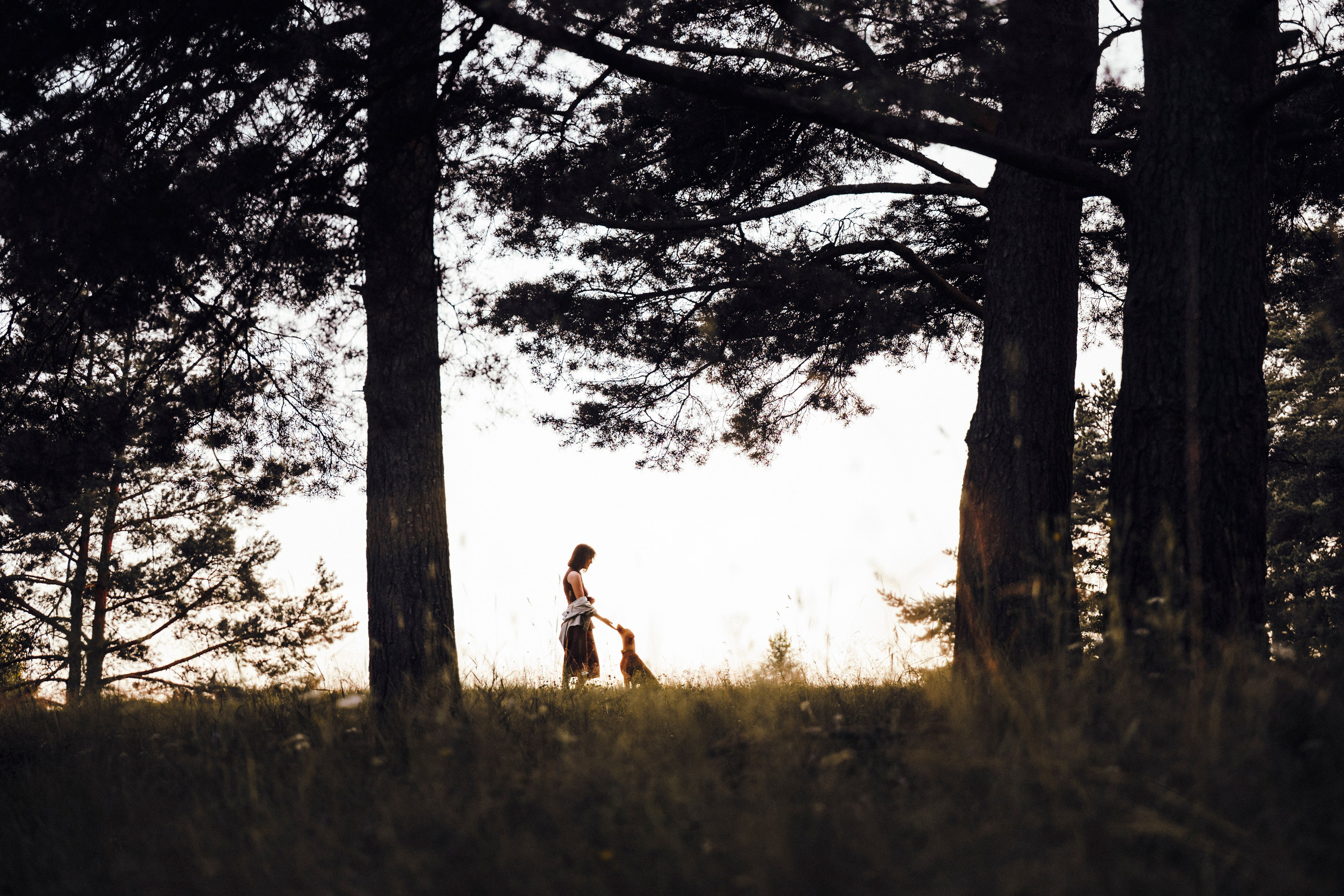 Маша, Трисс и Эста. Семейный фотограф анималист Ананьева Мария — Москва