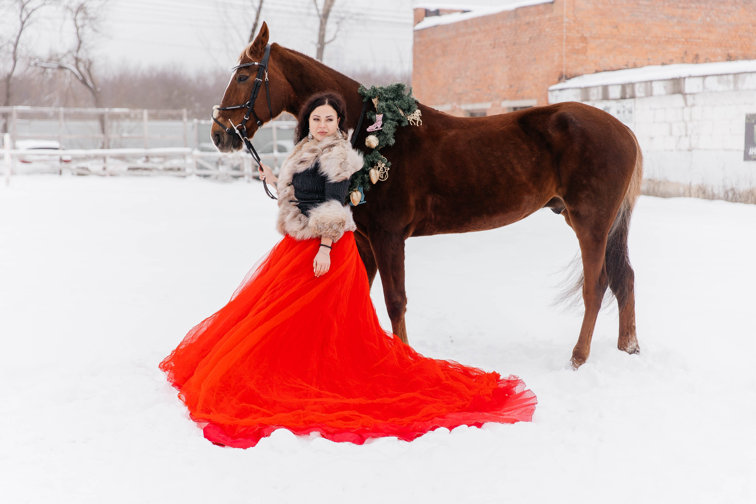 Лошади. Ваш фотограф в Москве и области Юлия