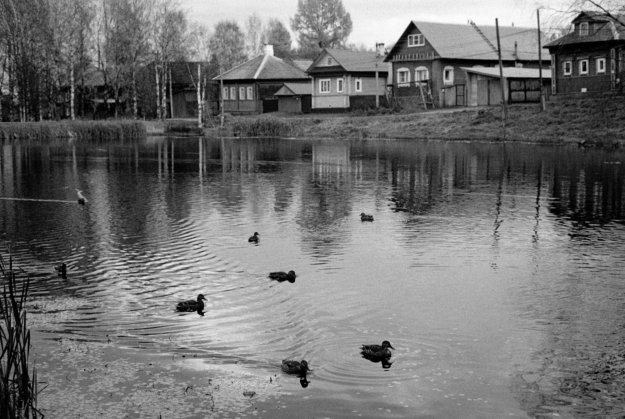 Кострома Blues. Документальный фотограф Алексей Мякишев, Москва