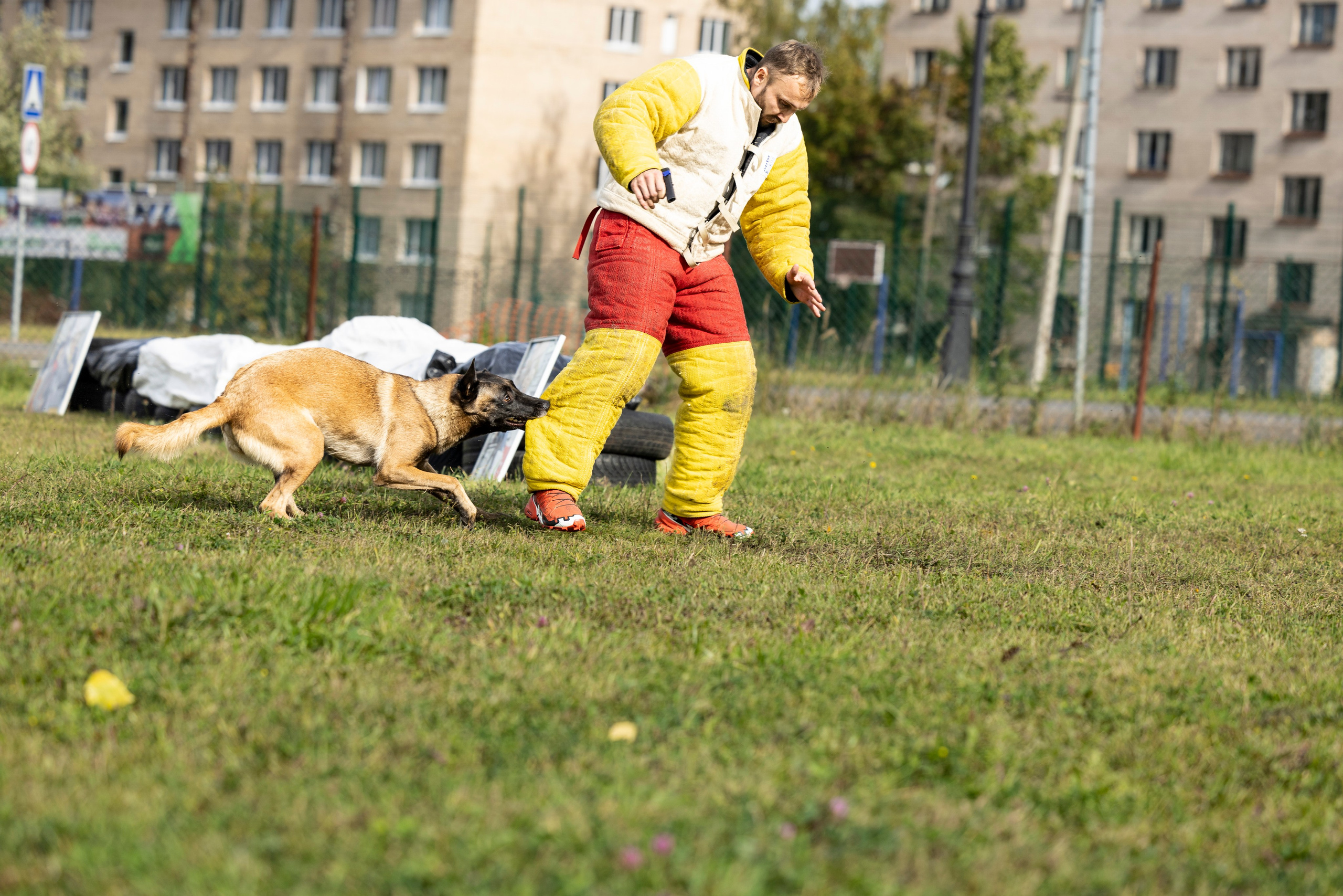 Испытания по Мондьорингу г. Пушкин. Фотограф-анималист Анна Маринич