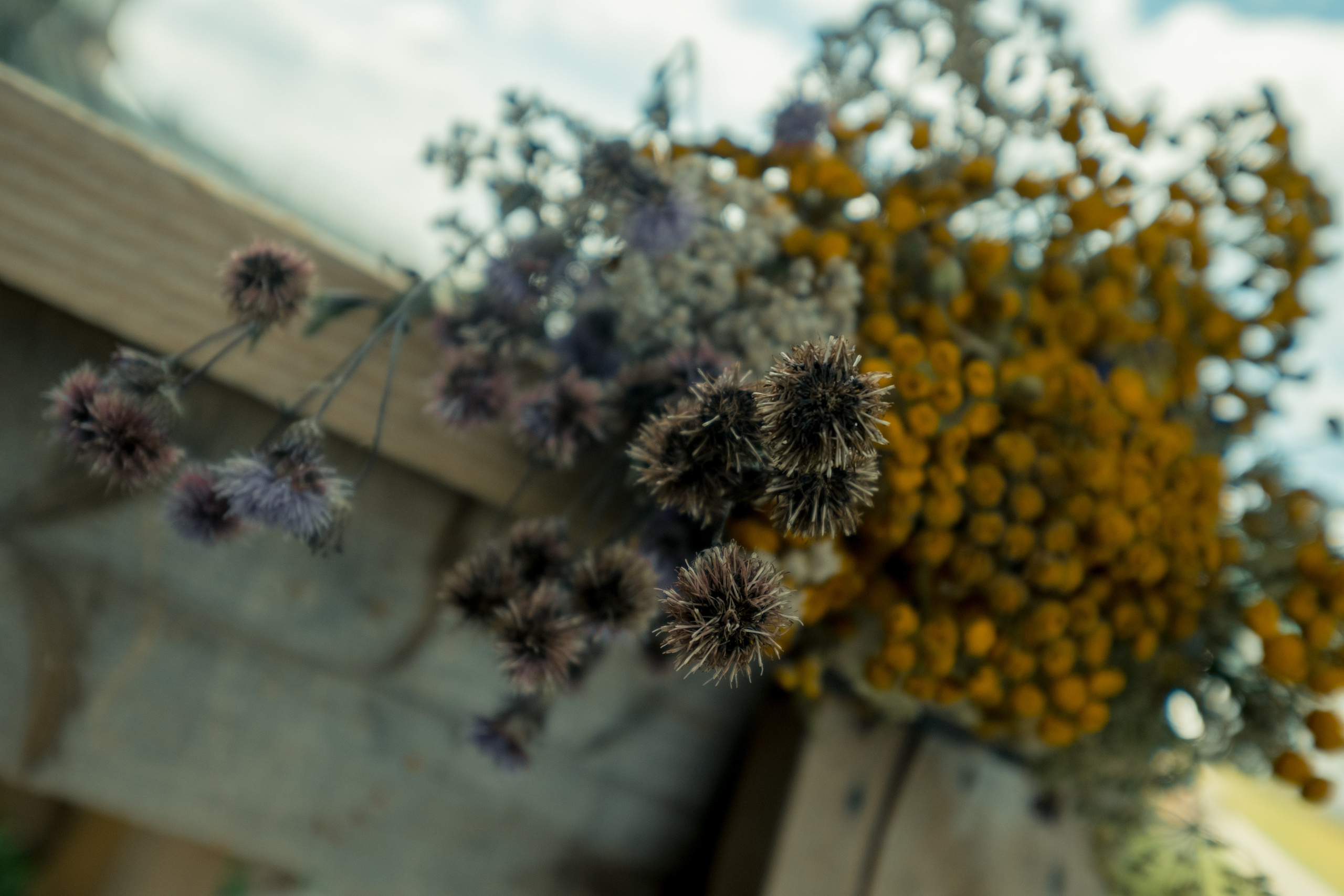 Фотографии Каргополя и красивые виды Русского Севера. Портретный, репортажный и пейзажный фотограф в Москве Сергей Арест