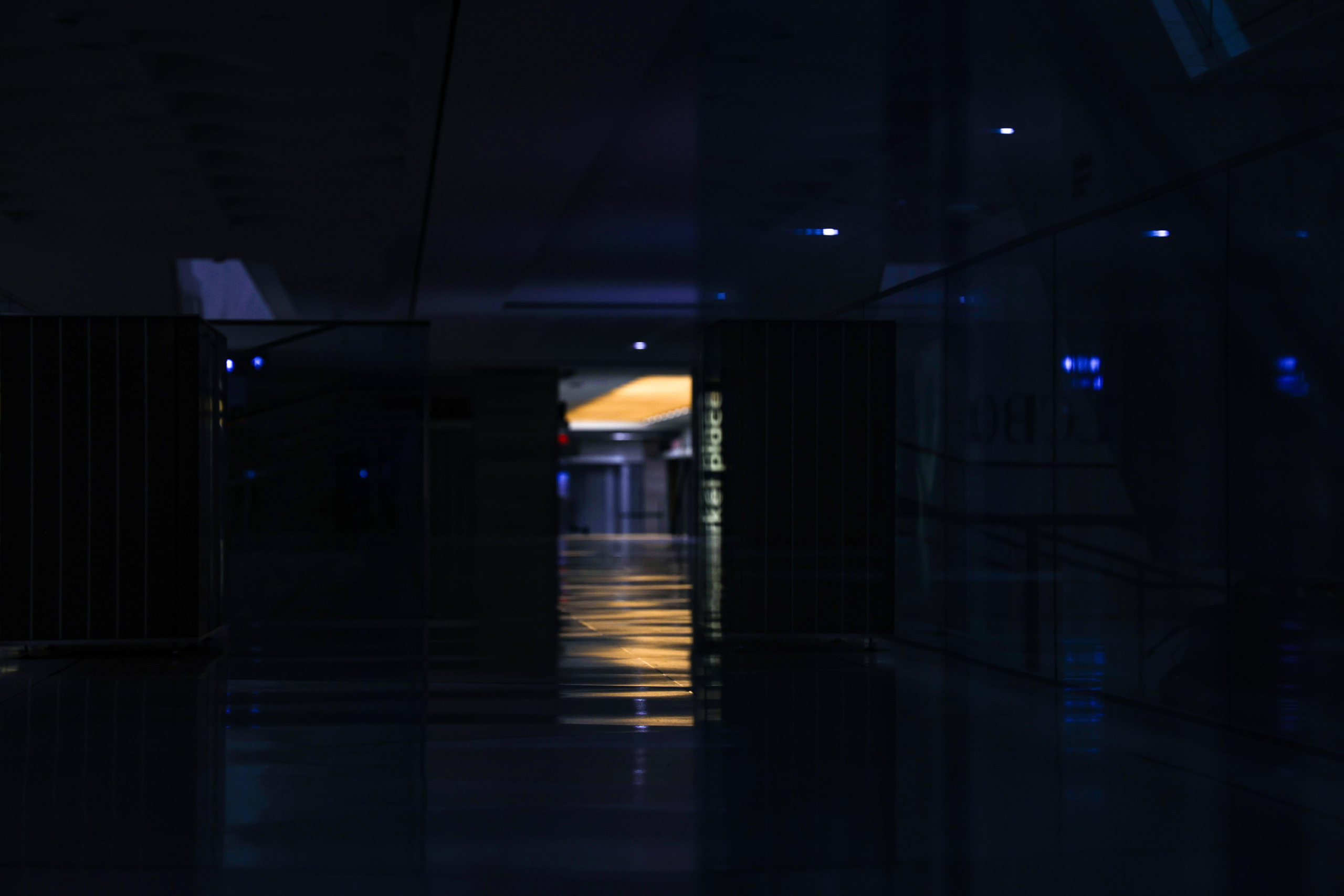 Nuit Blanche 2025. Portrait photographer based in Toronto — Blinova Mariia