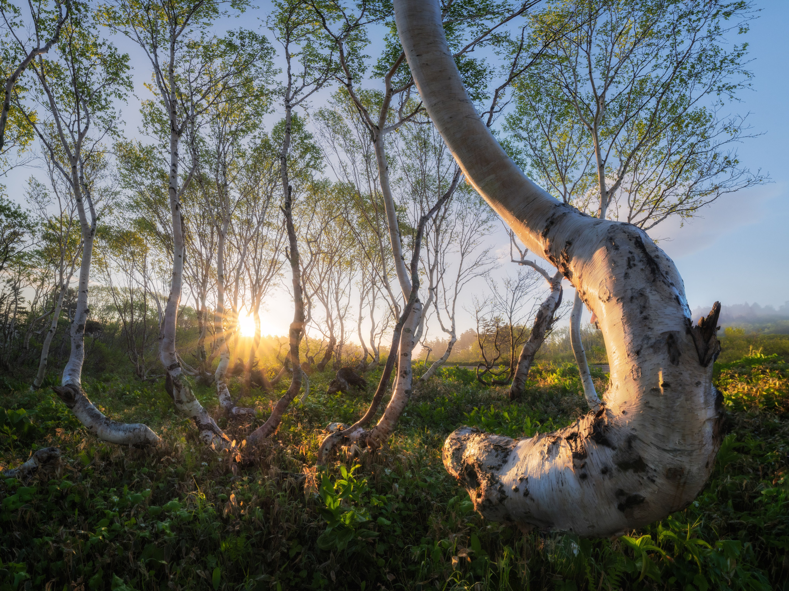 Фотографии южные Курилы