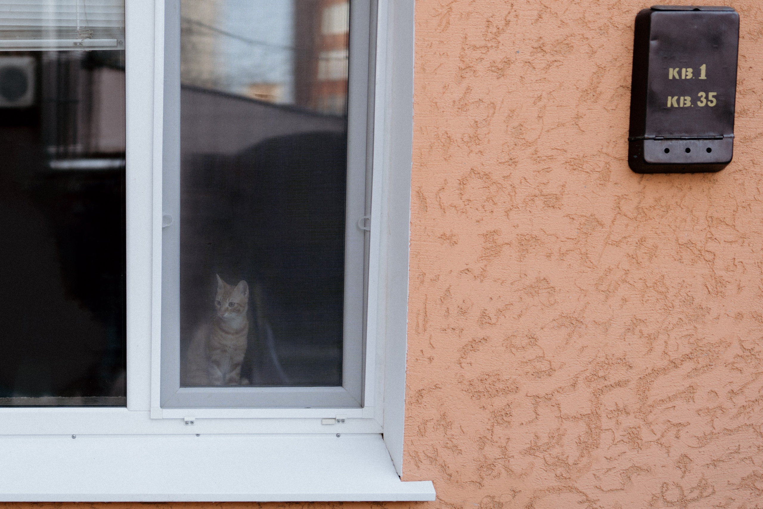 Саша и Лена. Свадебный и семейный фотограф в Санкт-Петербурге Дмитрий Панин
