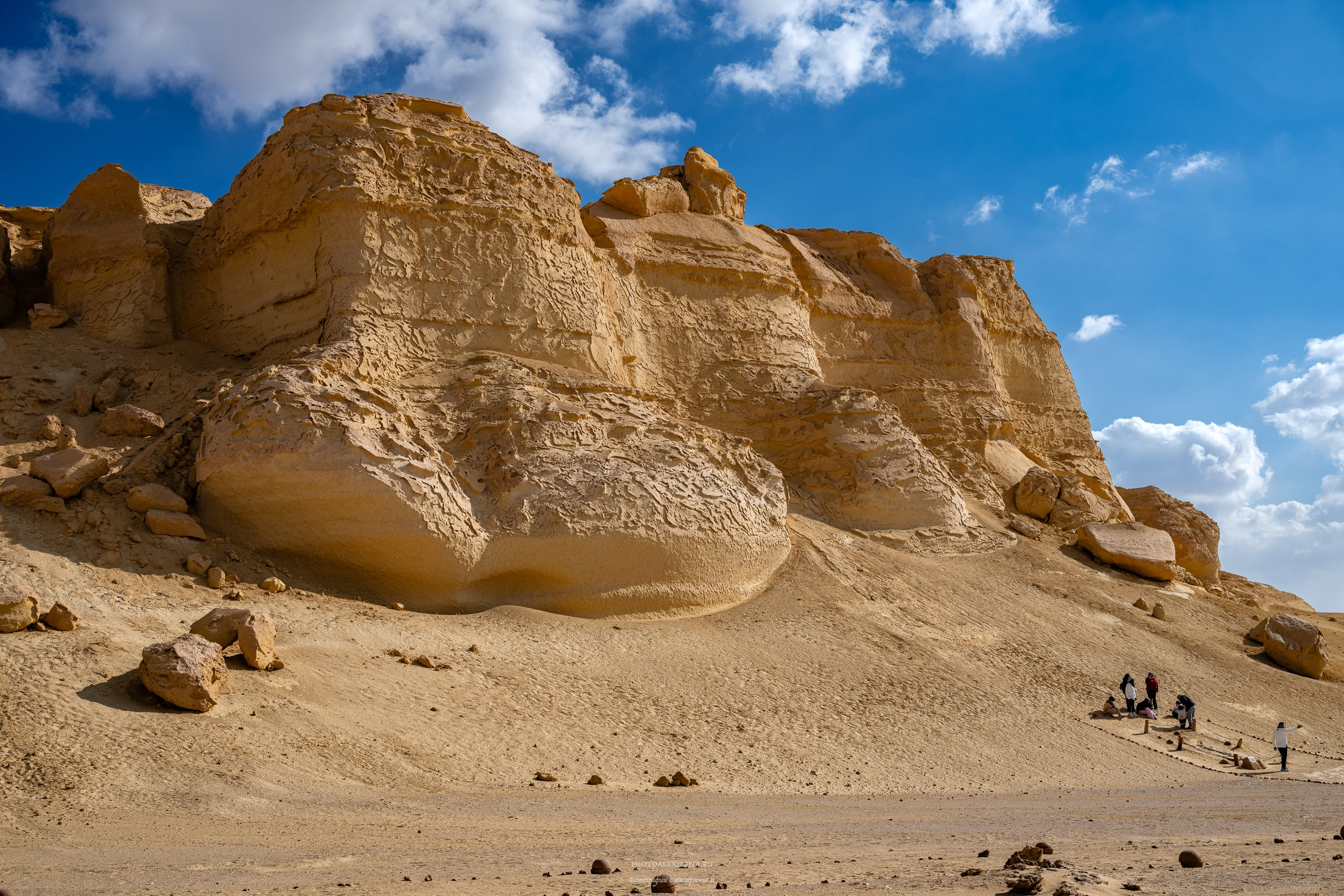 Снова в пустыню, за скелетами…. Авторские стильные фотокартины