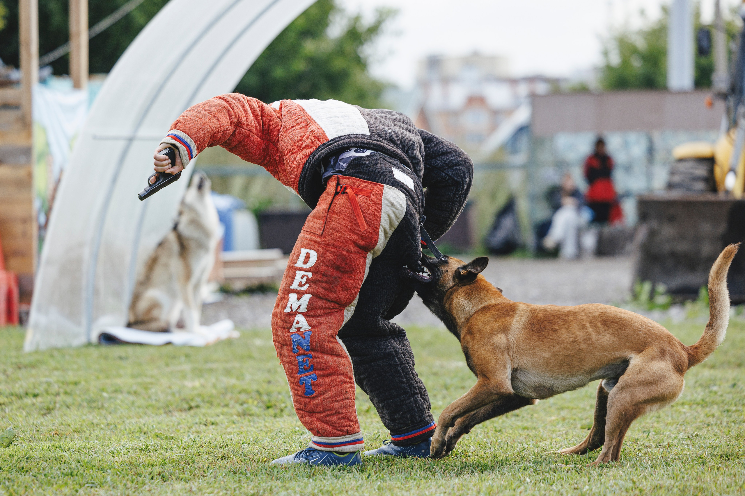 08.08.25-10.08.25 ЧР по мондьорингу г. Вологда. Фотограф-анималист Анна Маринич