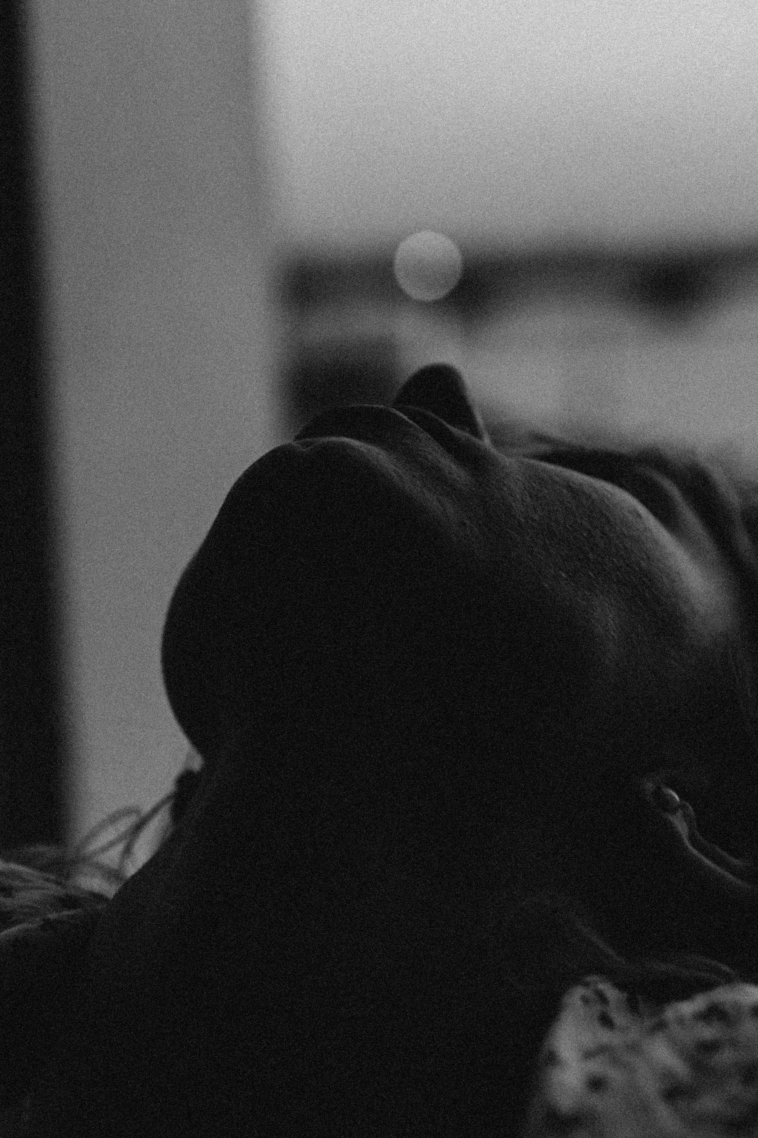 ЛЕТНИЙ ВЕЧЕР. Профессиональный фотограф, Санкт-Петербург — Виктория Богомолова