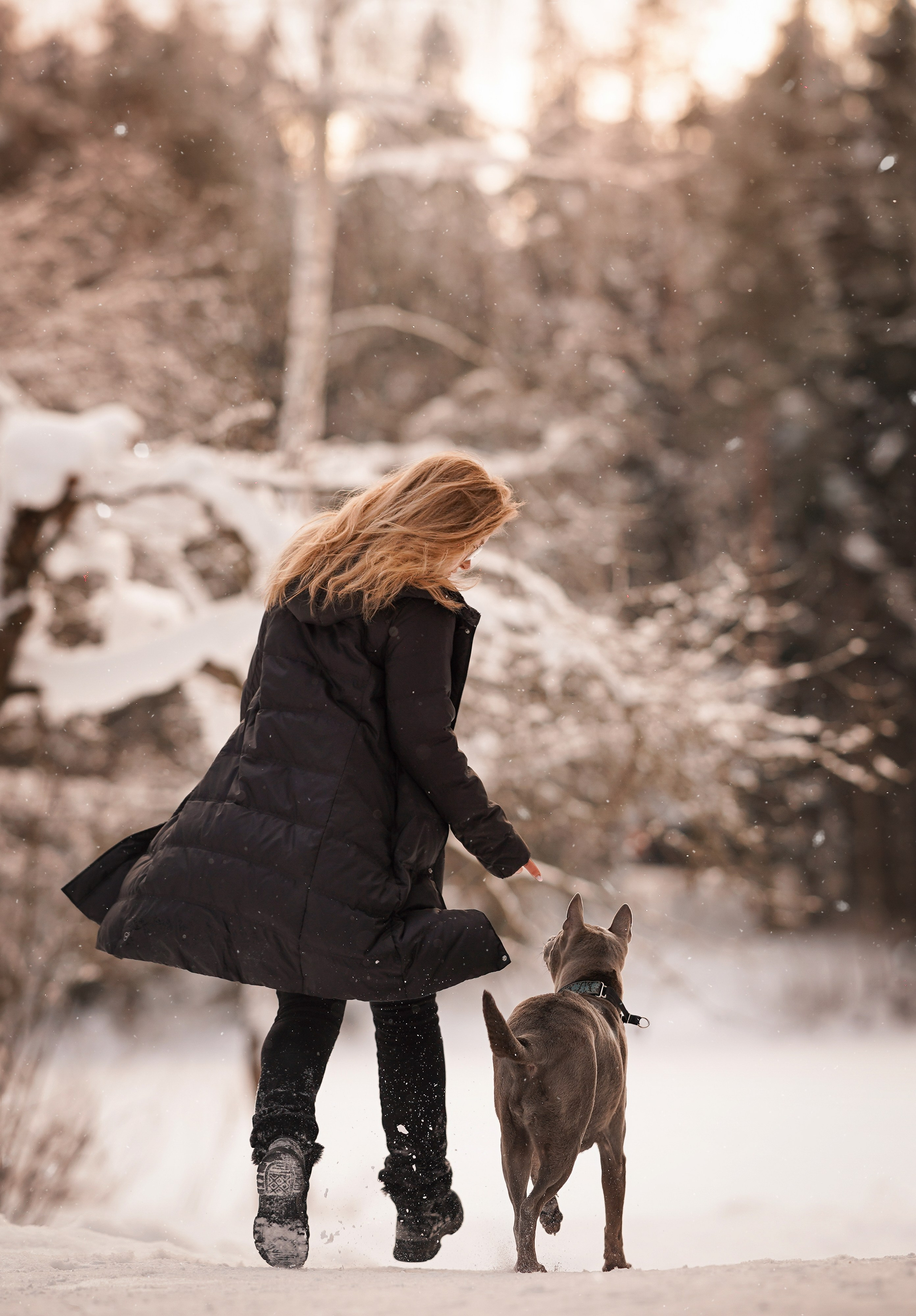 Даша Илья Вениамина и Мэдиссон. Фотограф-анималист в Санкт-Петербурге Яна Мартынова