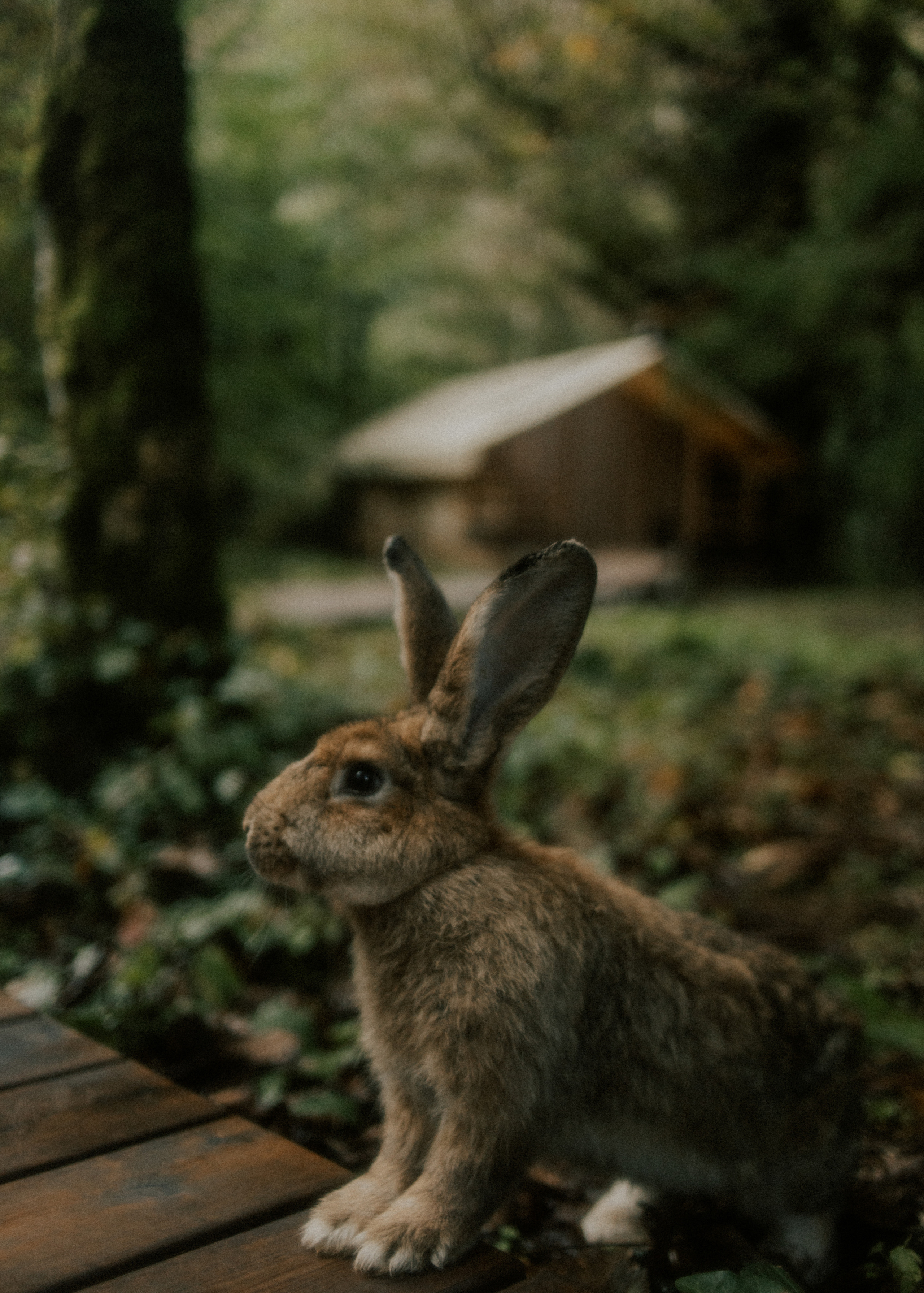 Aleksey & Liya. ФОТОГРАФ Екатеринбург Москва Анастасия Замесина