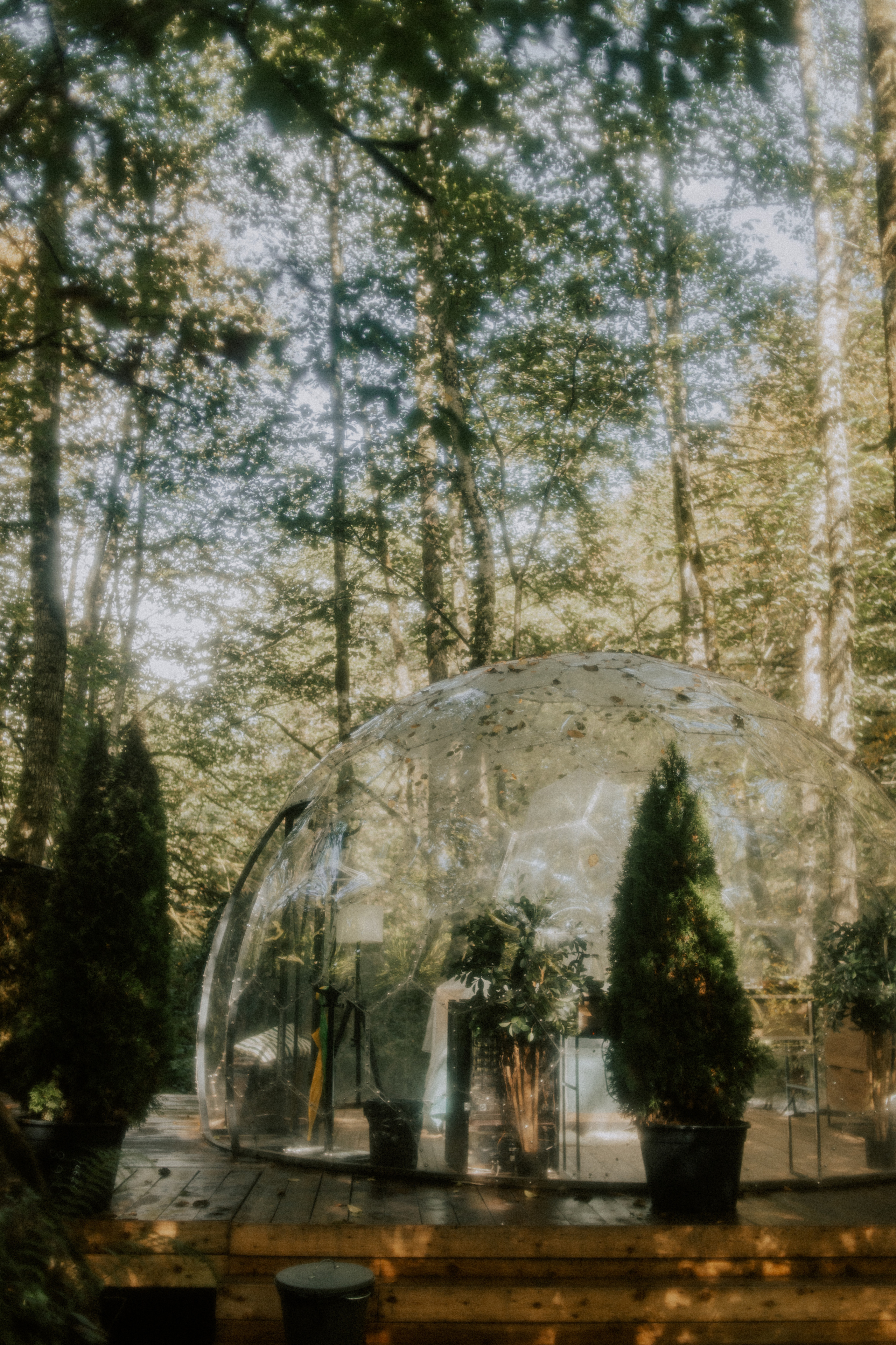 Aleksey & Liya. ФОТОГРАФ Екатеринбург Москва Анастасия Замесина