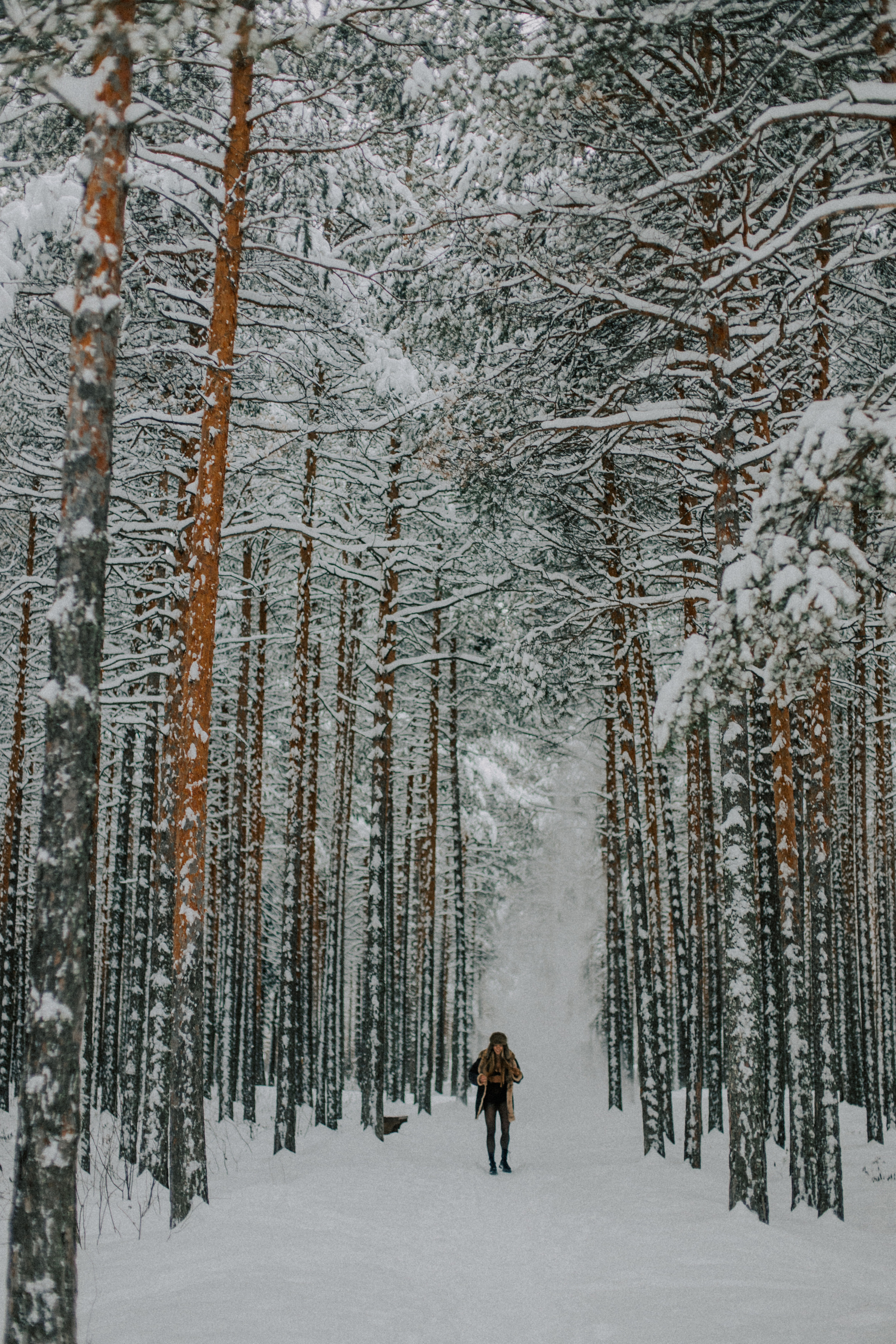 Зимняя прогулка в Сибири. ФОТОГРАФ Екатеринбург Москва Анастасия Замесина