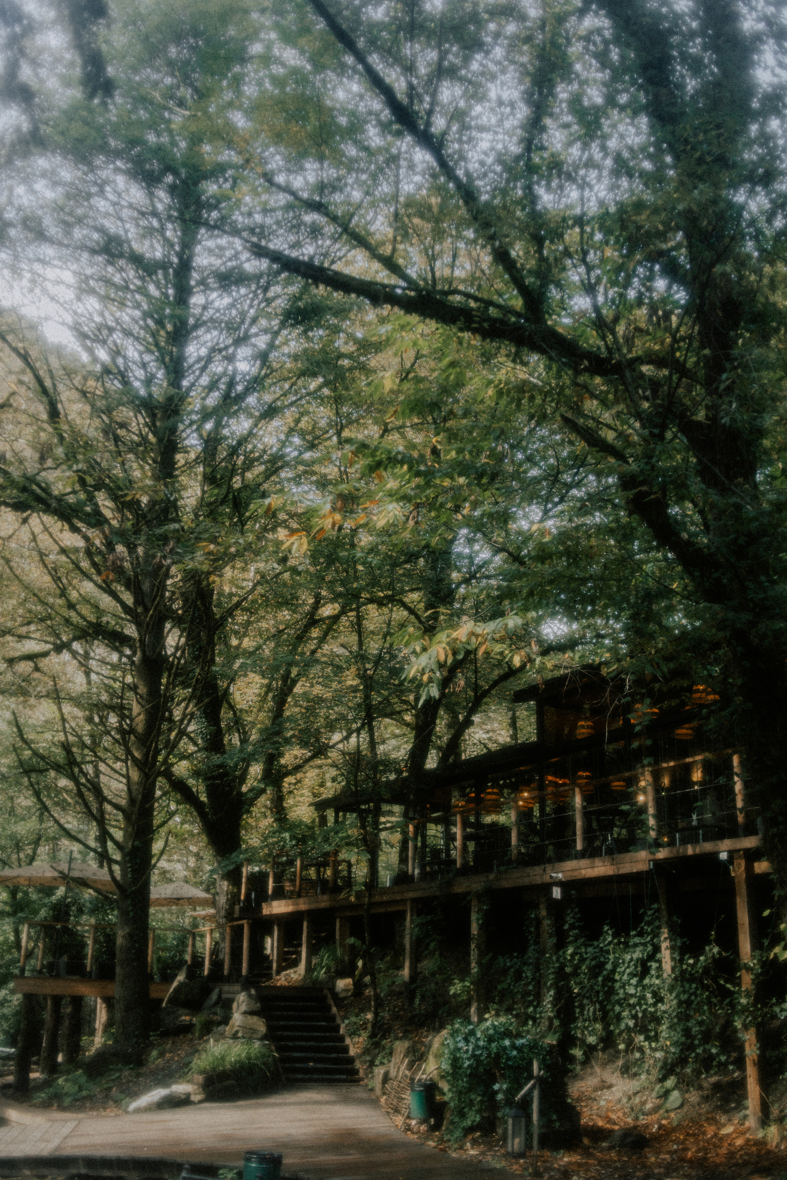 Aleksey & Liya. ФОТОГРАФ Екатеринбург Москва Анастасия Замесина