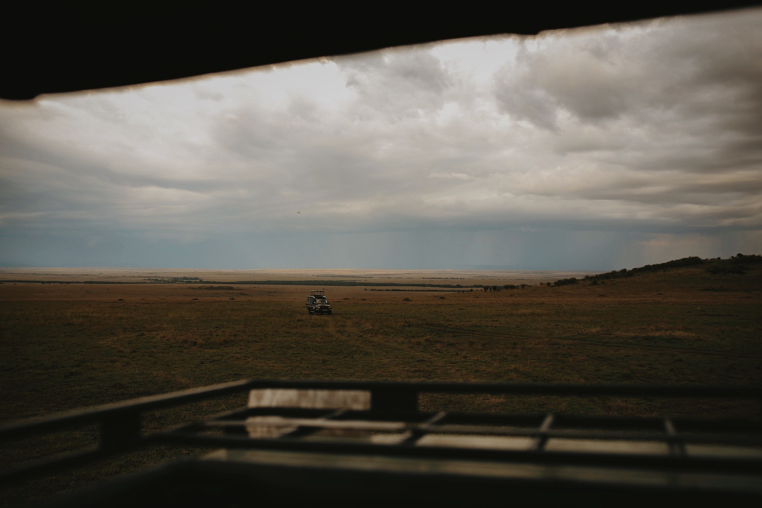 Kenya. Safari. Ekaterina Buneeva Photography