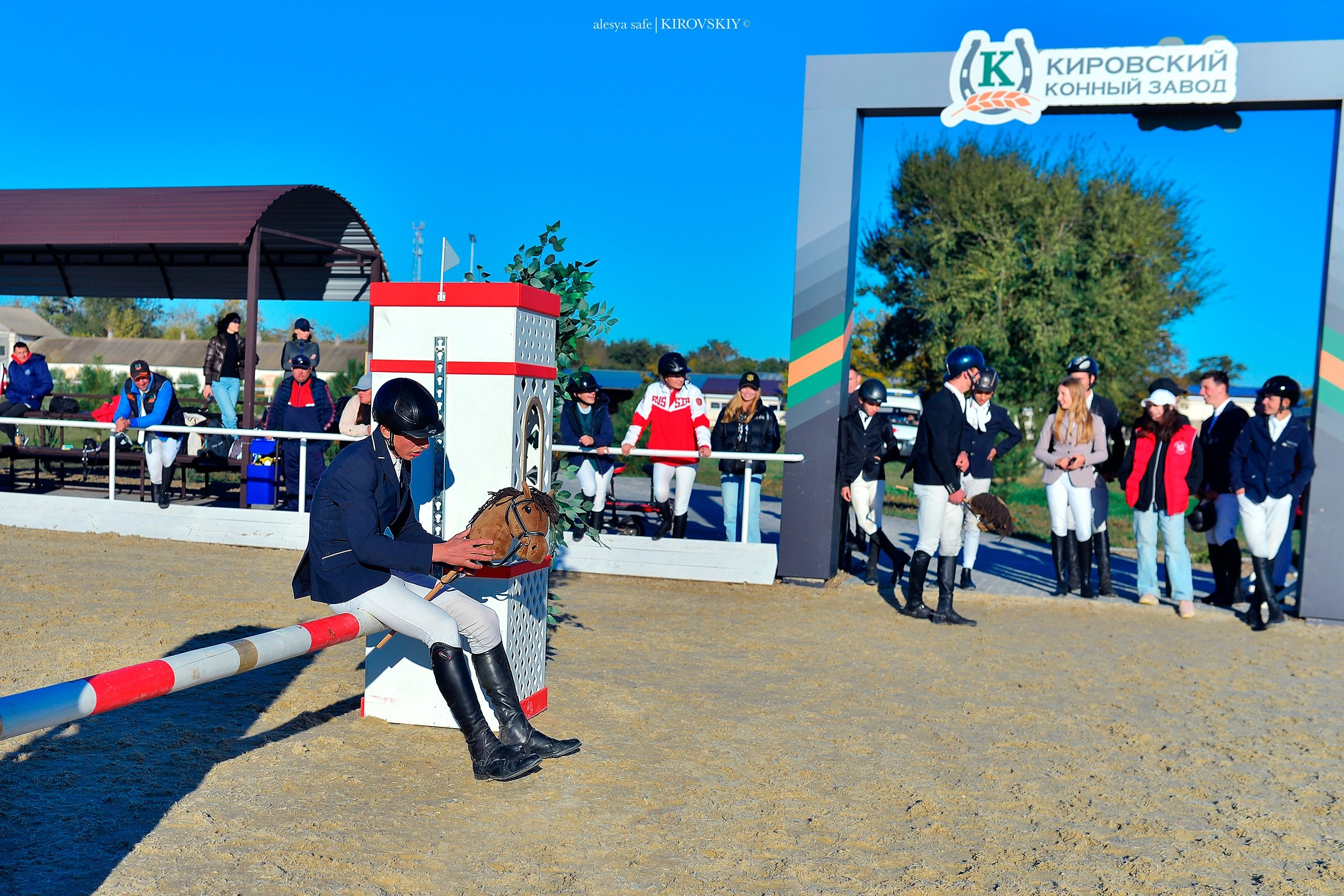 Кировский конный завод. Конный фотограф Alesya Safe