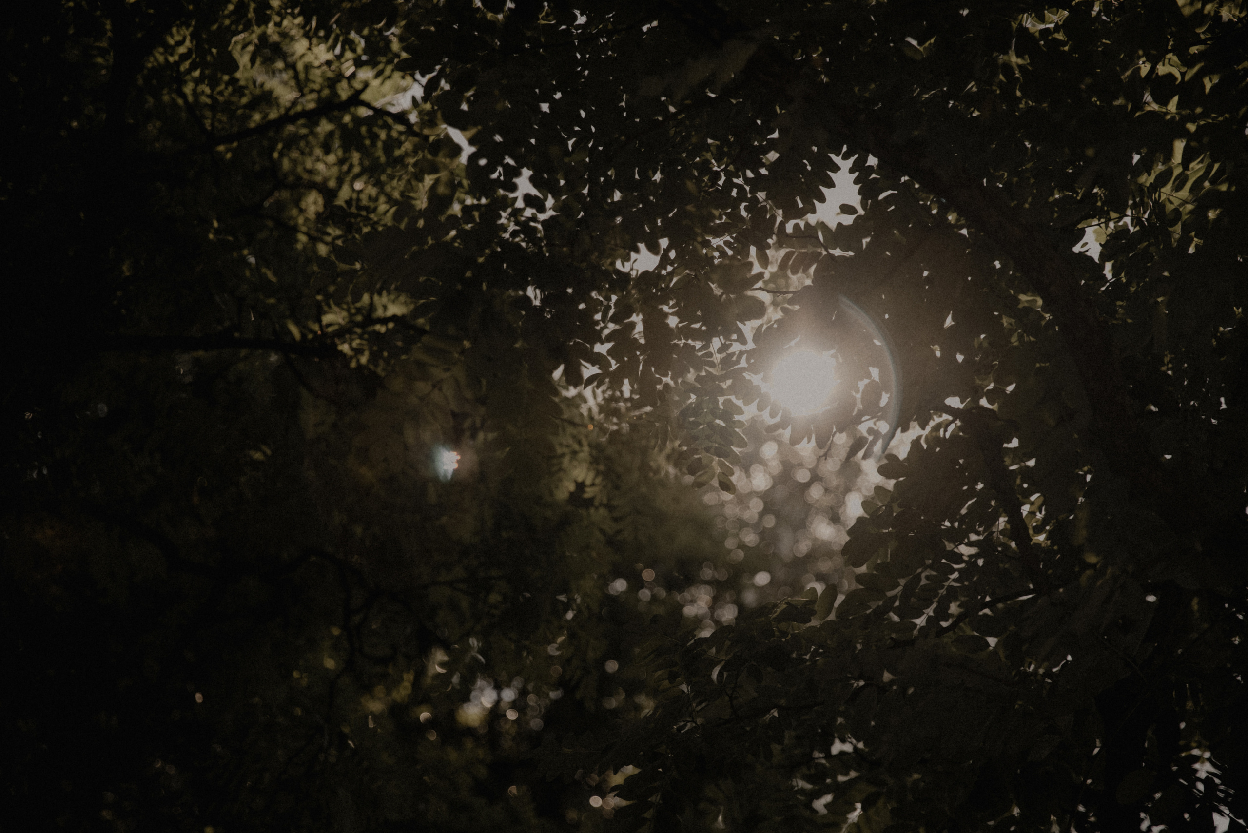 One fine day. Фотограф Лия Козловская Минск