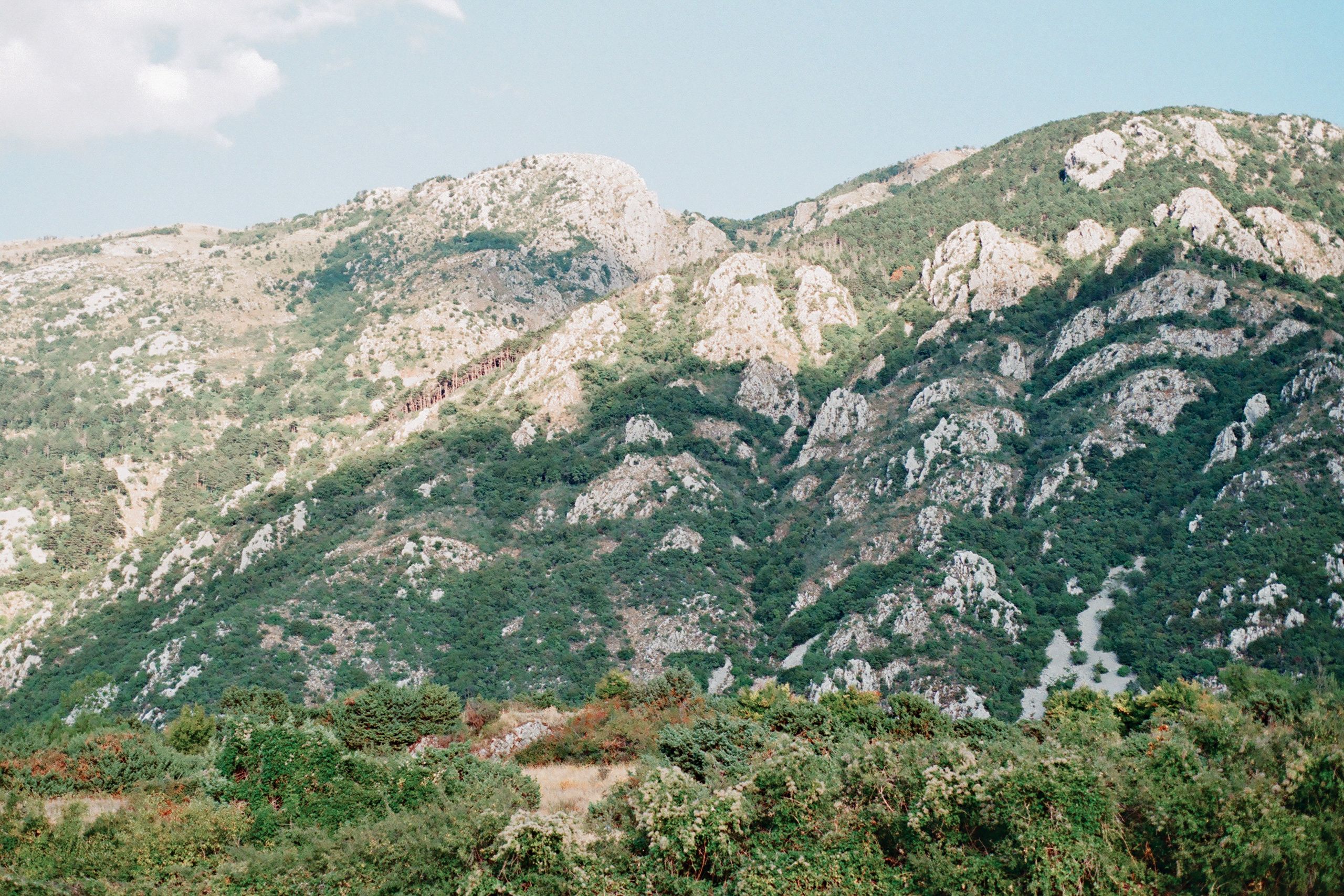 Свадьба в Черногории. Изящная фотография | Ксения Милушкина