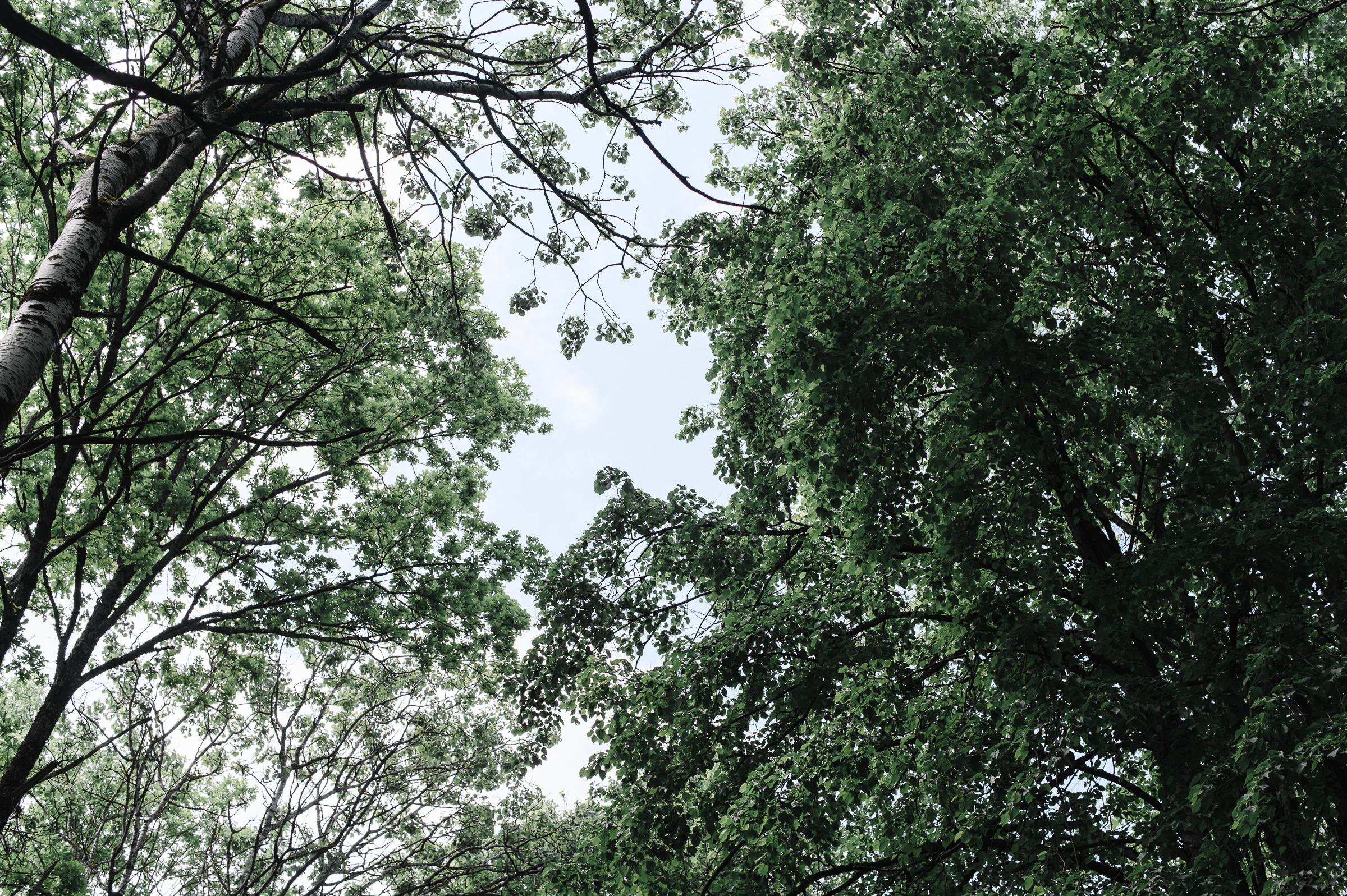 Мокрые штанцы!. Коммерческий фотограф в Брянске Ольга Вороная