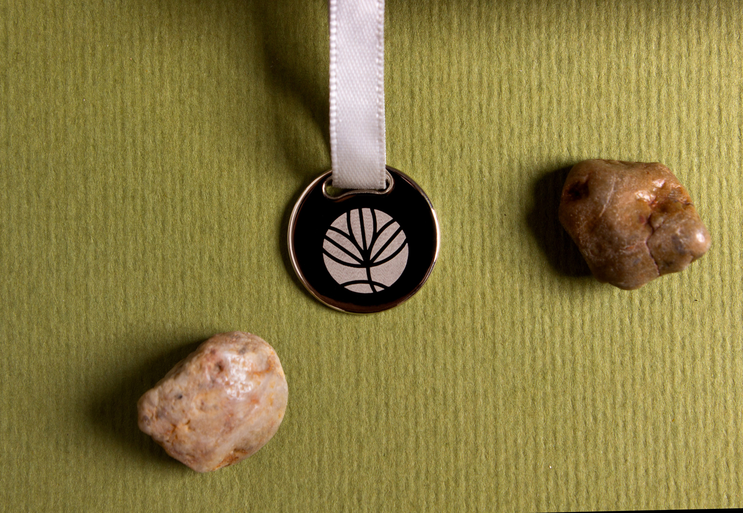 Щелково. Фуд-фотограф в Москве | Профессиональная съемка блюд и еды | Горбачёв Виталий