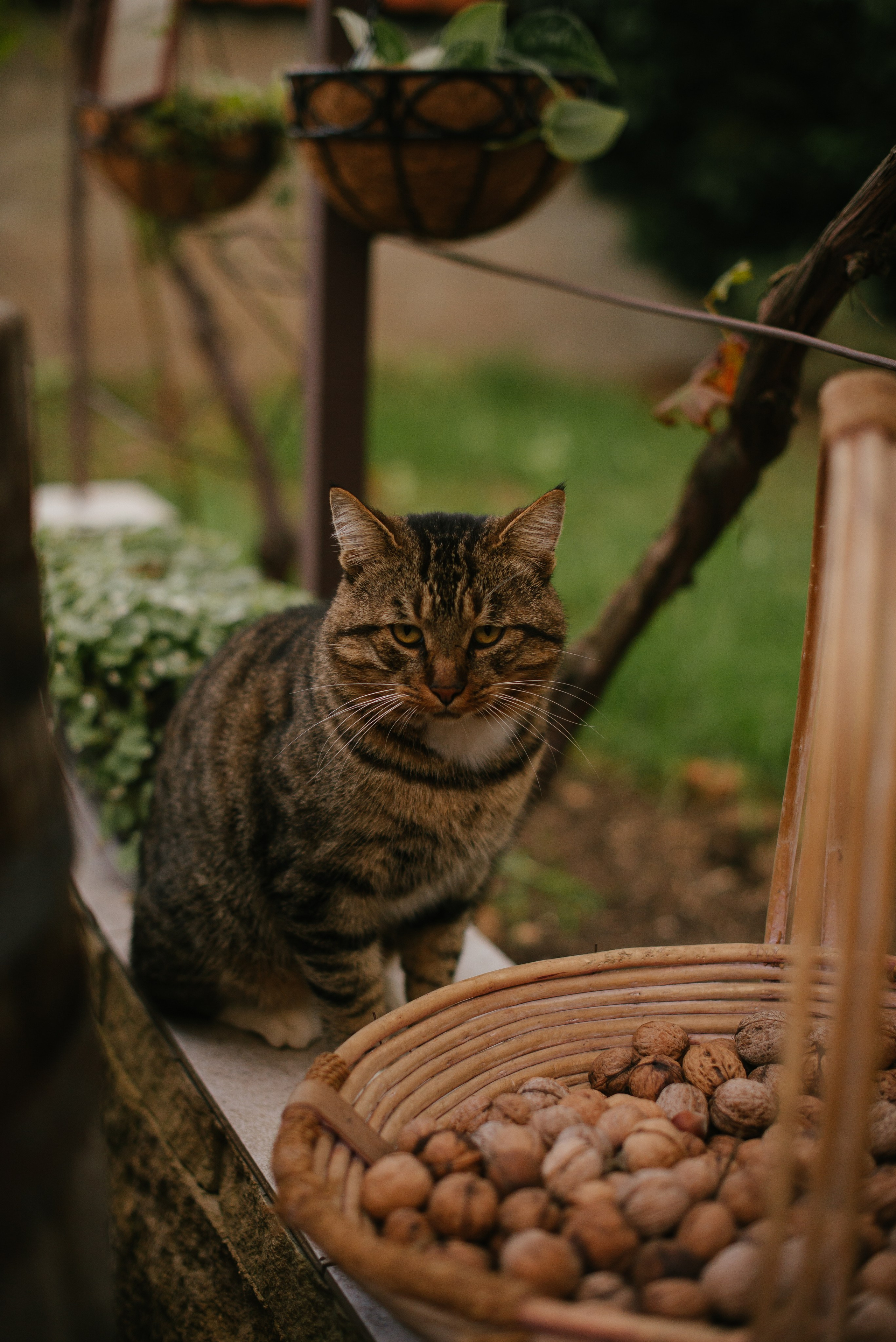 Роман и Лиза (г.Севастополь). Свадебный, женский, семейный фотограф в Севастополе Юлия Мошенко