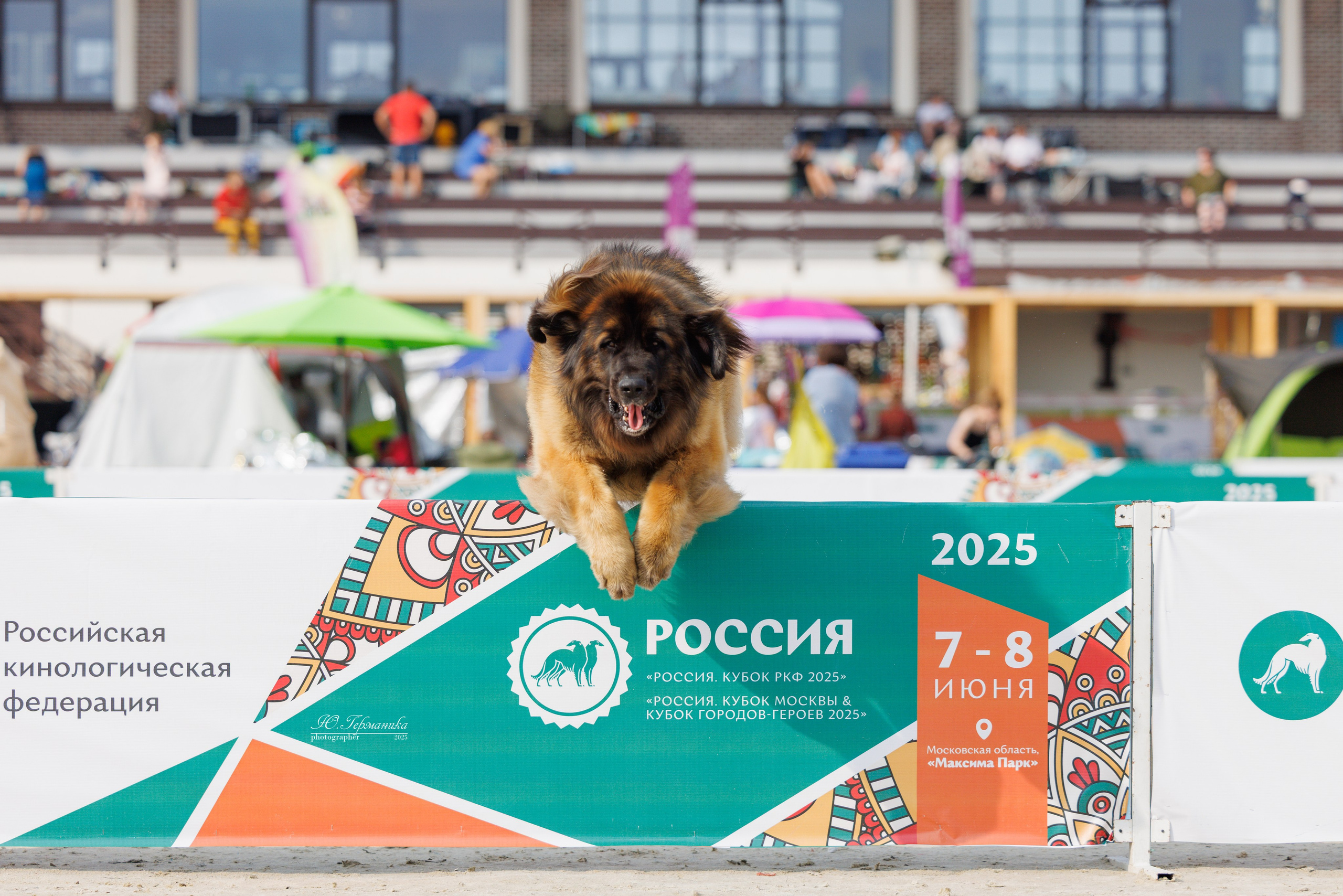 РОССИЯ 7-8.06.2025. Фотограф-анималист Юлия Германика