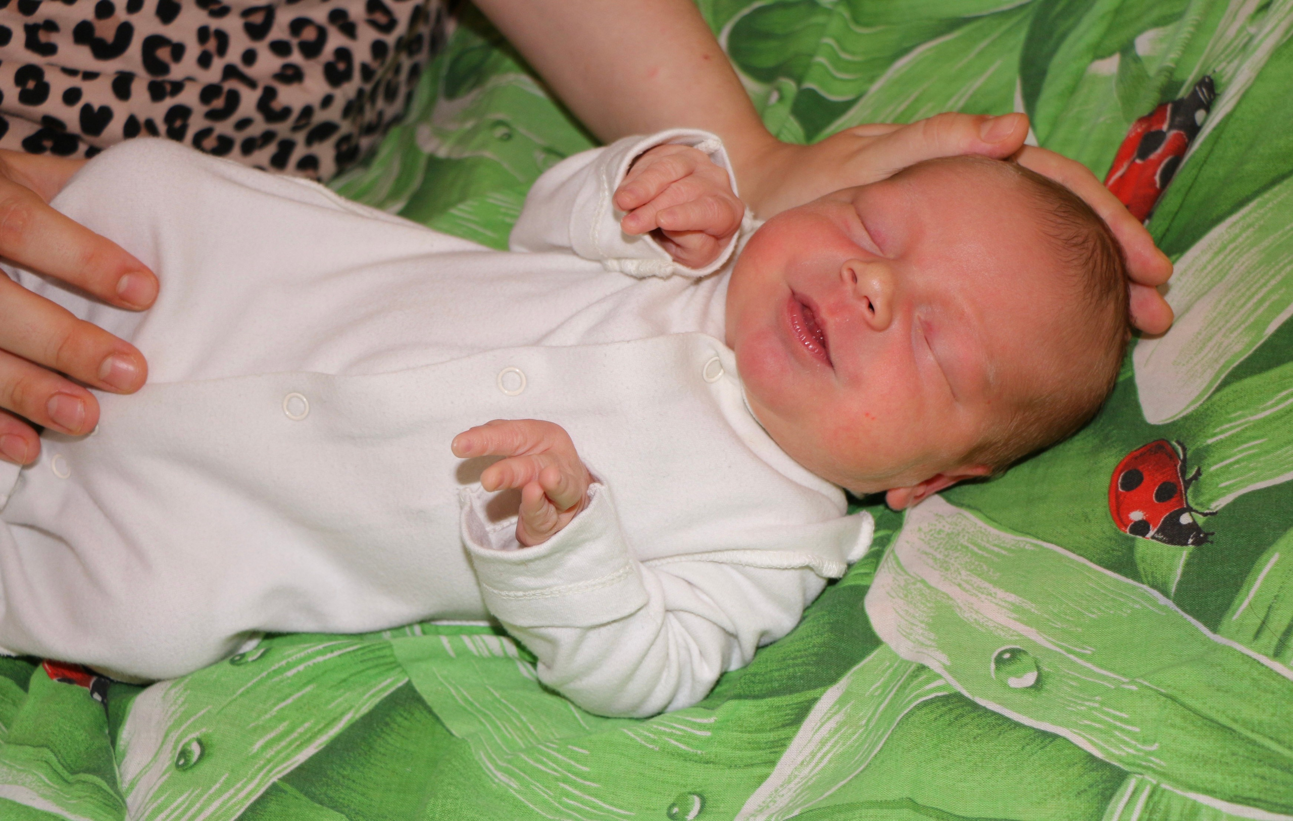 Выписка из роддома. Семейный и детский фотограф в Ялте Ольга Солерина