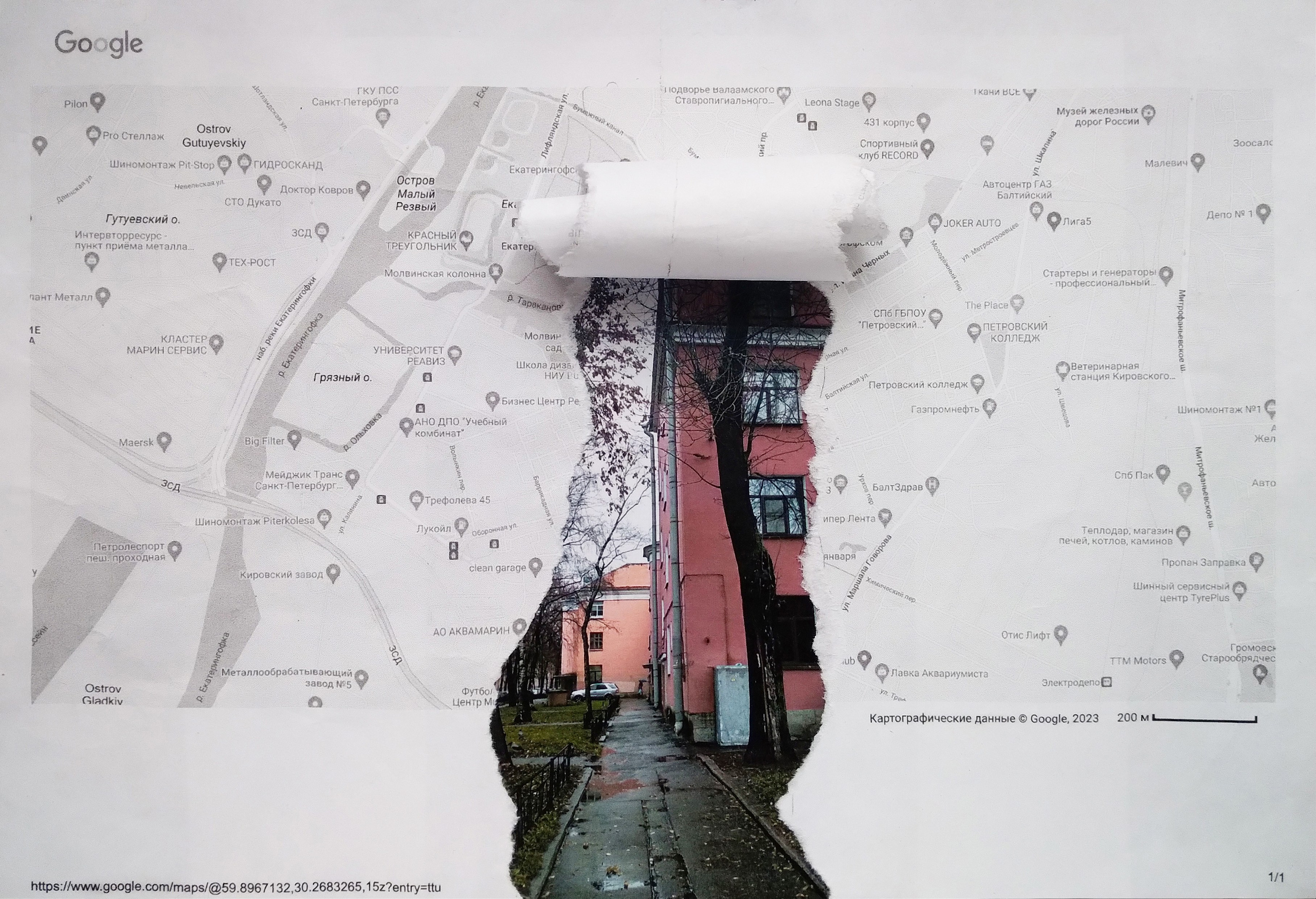 Сто шестьдесят. Ирина Петрова. Современный художник