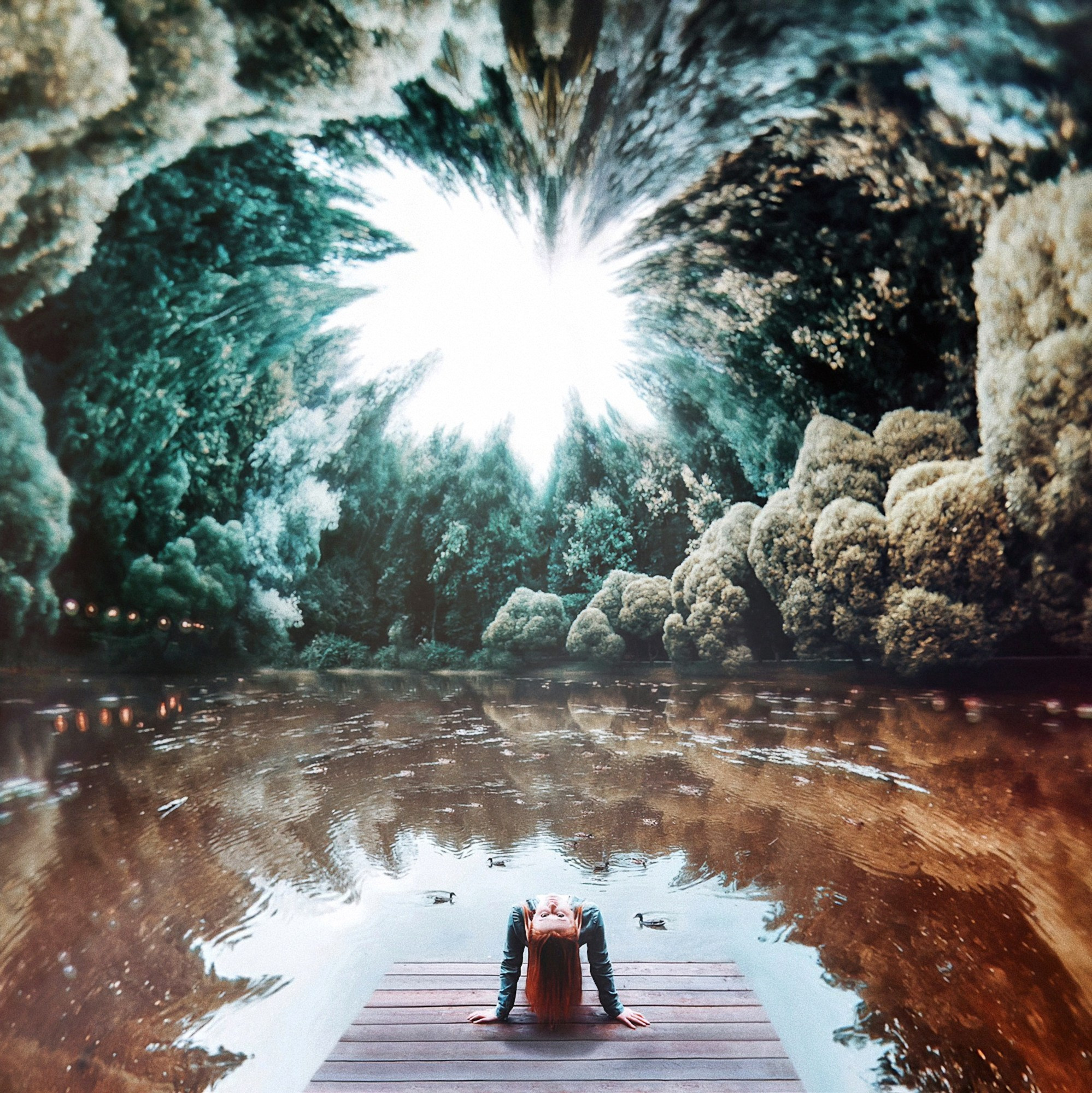 Portfolio. The Andris