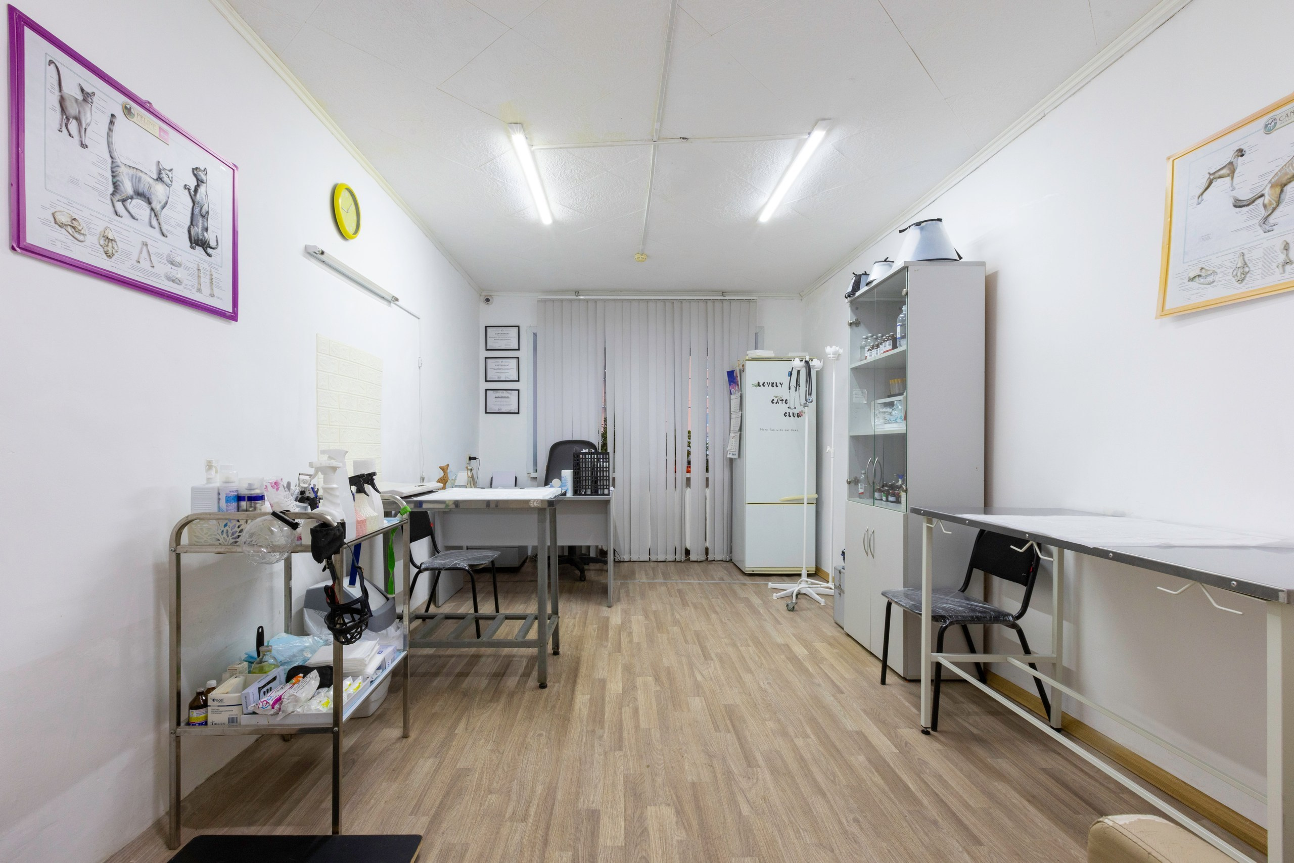 БАРОН. Ветеринарная клиника. Фотограф в Туле Крупский АнДРей. Фотостудия «КАДР71» в Туле