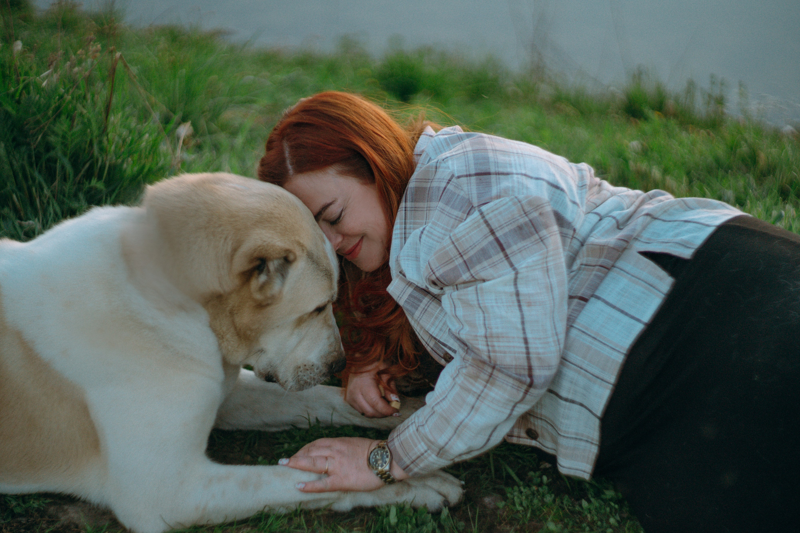 Настя и Рахат. Фотограф анималист в Москве и Санкт-Петербурге Свиридова Анна