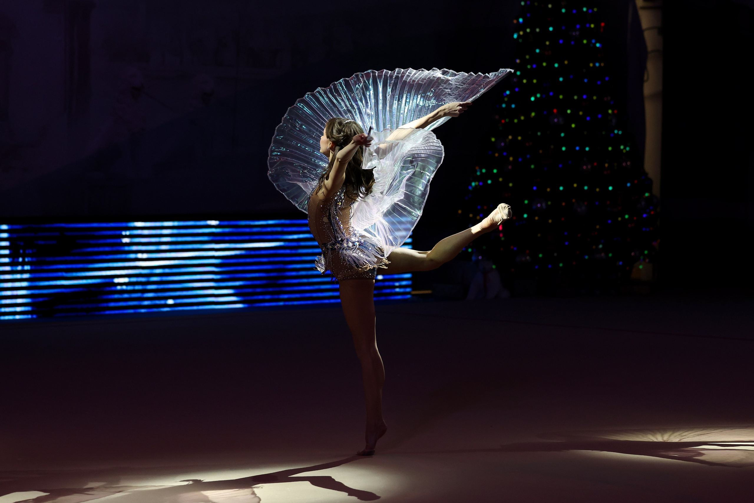 «Новогодняя сказка» 28 декабря 2023. Спортивный и репортажный фотограф Антон Тереханов