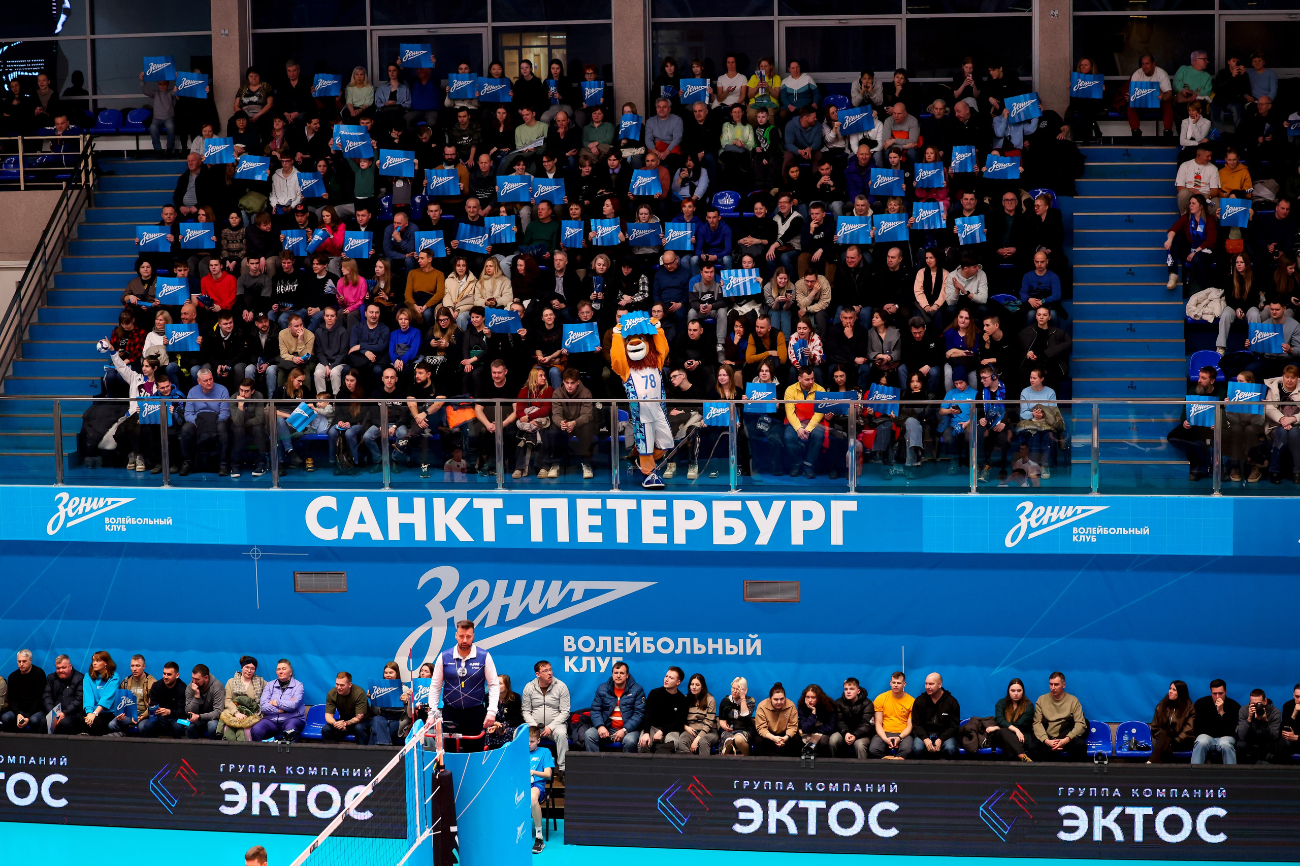 ВК Зенит — ВК АСК 15.03.2025. Спортивный и репортажный фотограф Антон Тереханов