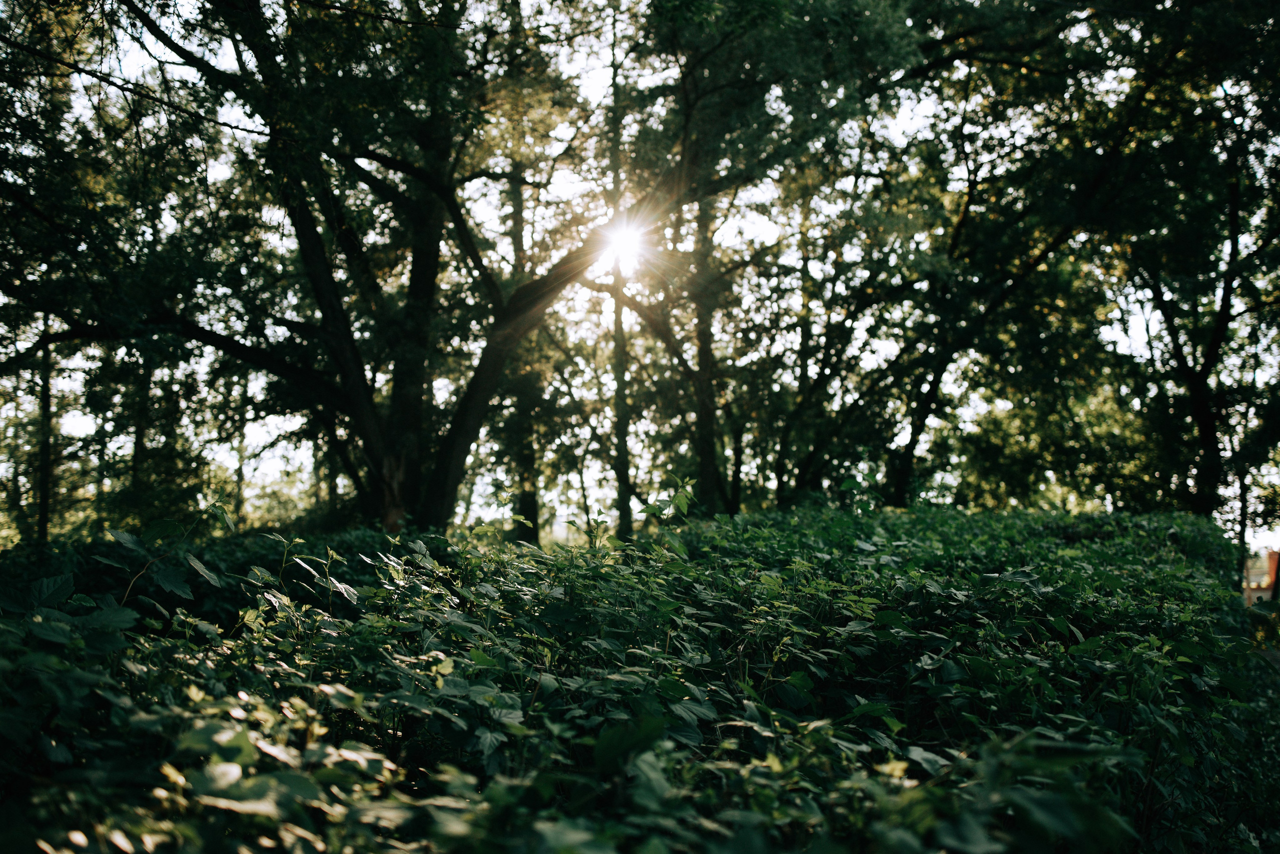 Стадион Металлург. Свадебный и семейный фотограф в Туле и области Маша Костина