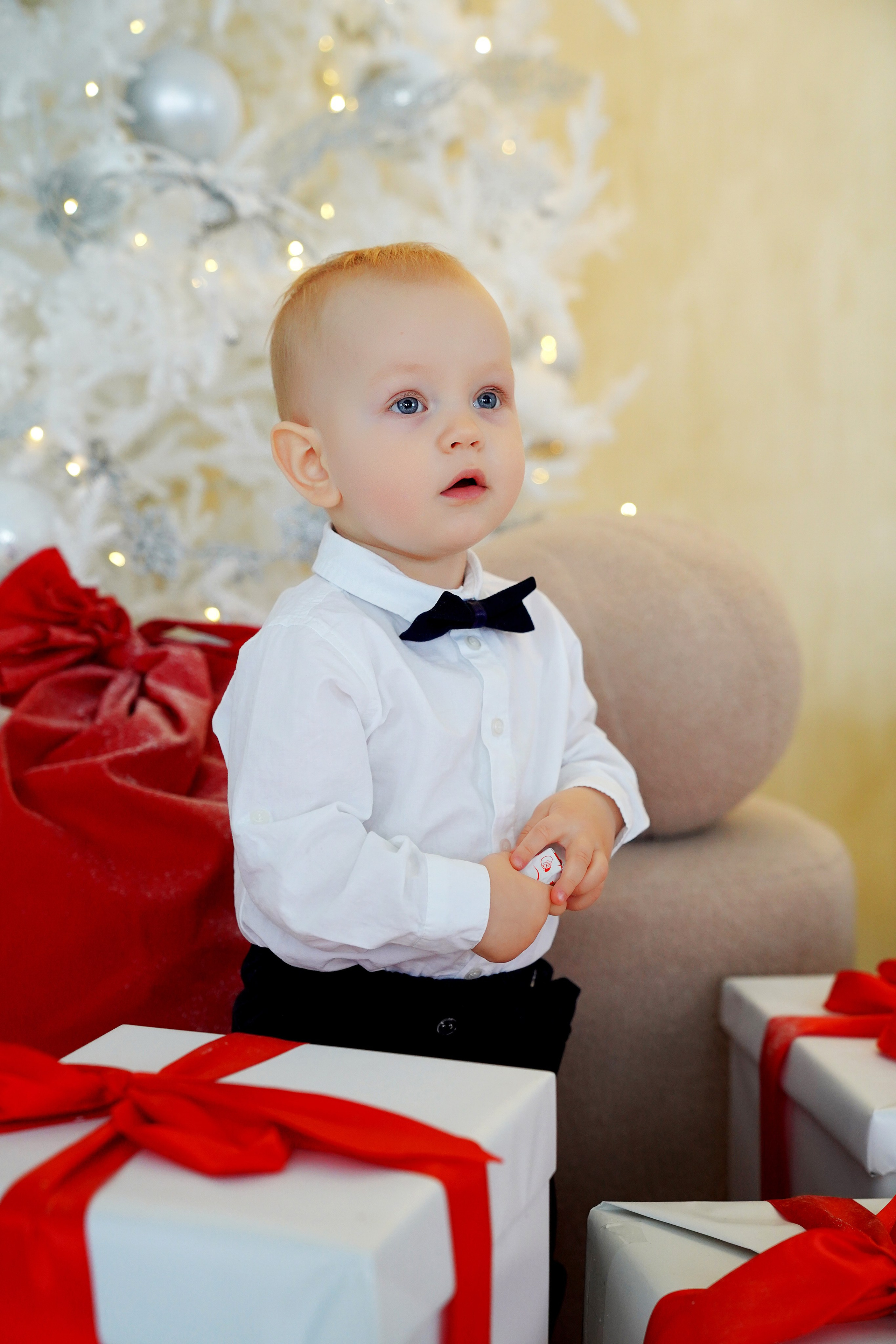 Семейная фотосессия в студии ZOOM (Сосенки). Семейный и детский фотограф в Москве Екатерина Офицерова