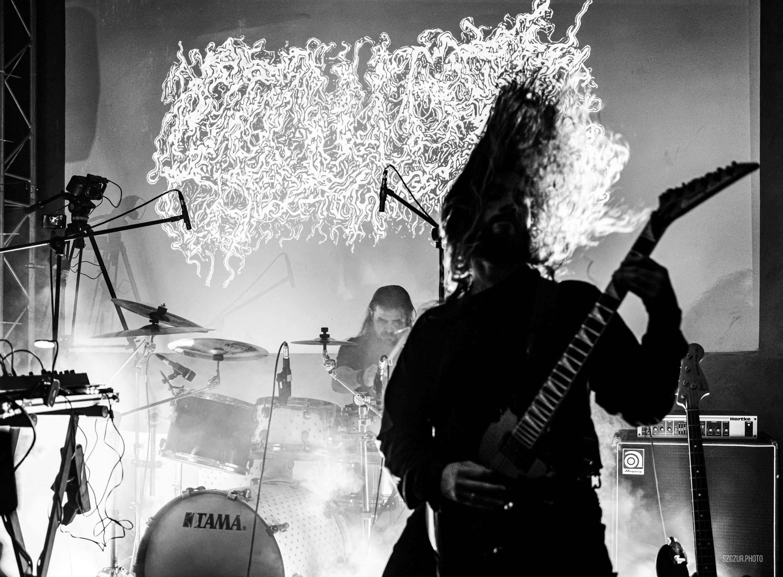 Gosudar в Eclipse 17.01.25. Szczur photo