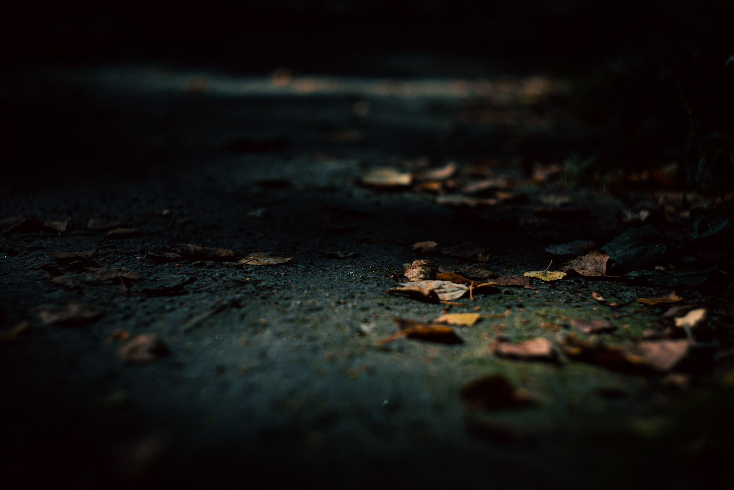 Сентябрь 2024. Efremovaphoto.ru