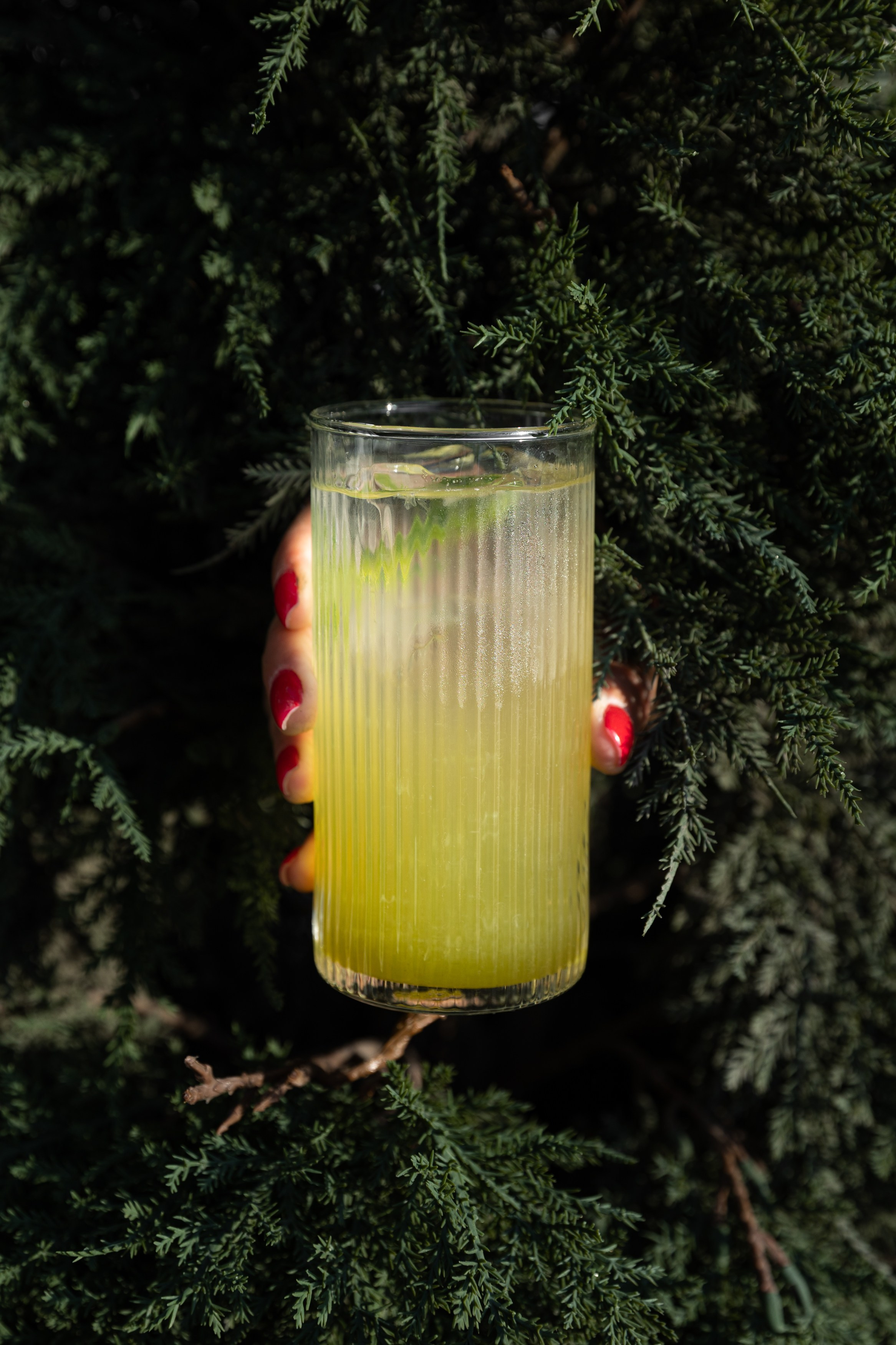 РЕСТОРАНЫ. Контент фотограф в Москве Ник Фрост